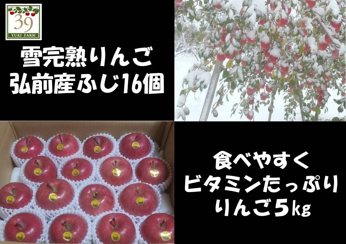 青森県産りんご 最高級品 蜜入り 「先行予約 」「冬ギフト」希少雪完熟りんご５kg１６個入：青森県産のその他りんご｜食べチョク｜産地直送(産直)お取り寄せ通販  - 農家・漁師から旬の食材を直送