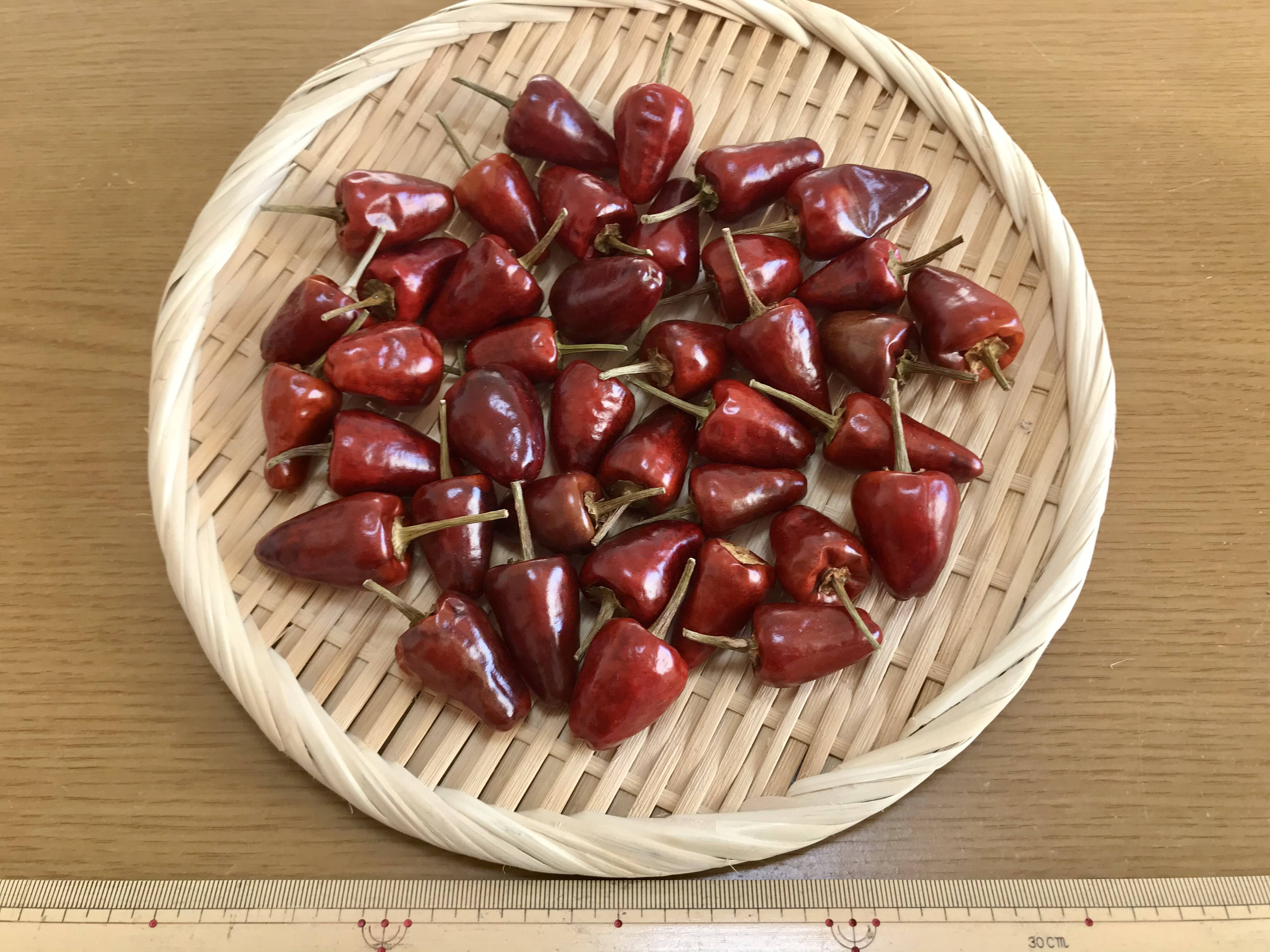 朝天唐辛子 乾燥 60g 愛知県産の唐辛子 食べチョク 産地直送 産直 お取り寄せ通販 農家 漁師から旬の食材を直送