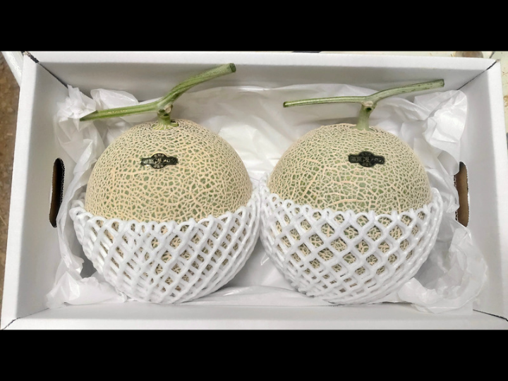 贈答用】渥美半島産＊マスクメロン/2玉入【夏ギフト】：愛知県産の