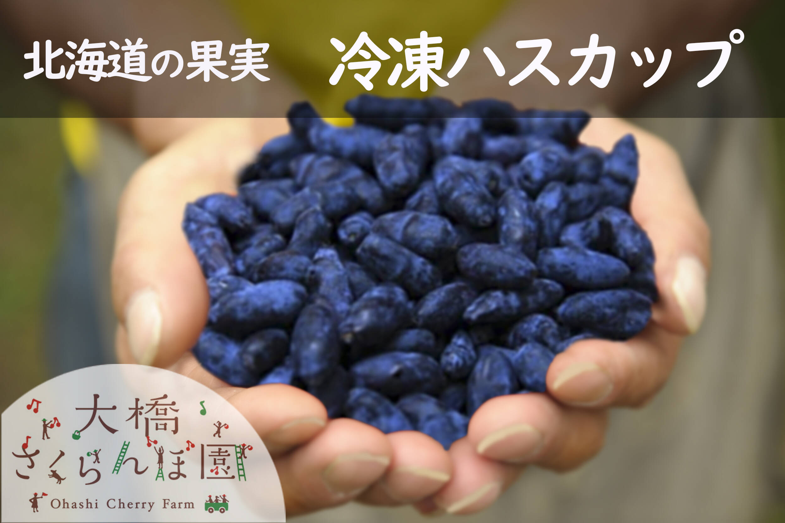 冷凍ハスカップ【ミックス】1ｋｇ（500ｇ×2パック） 北海道・芦別産