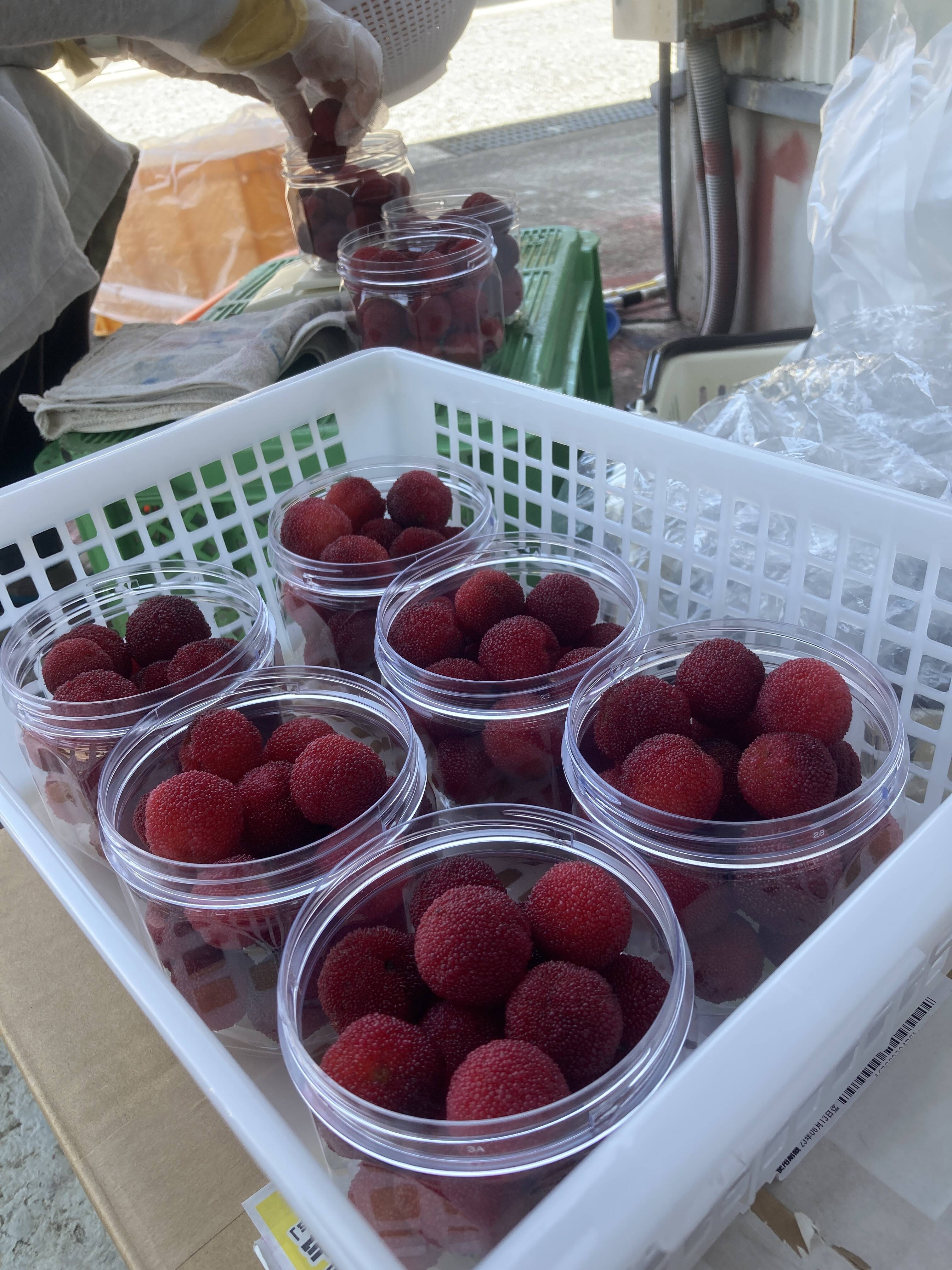 冷凍ヤマモモの準備！｜食べチョク｜産地直送(産直)お取り寄せ通販