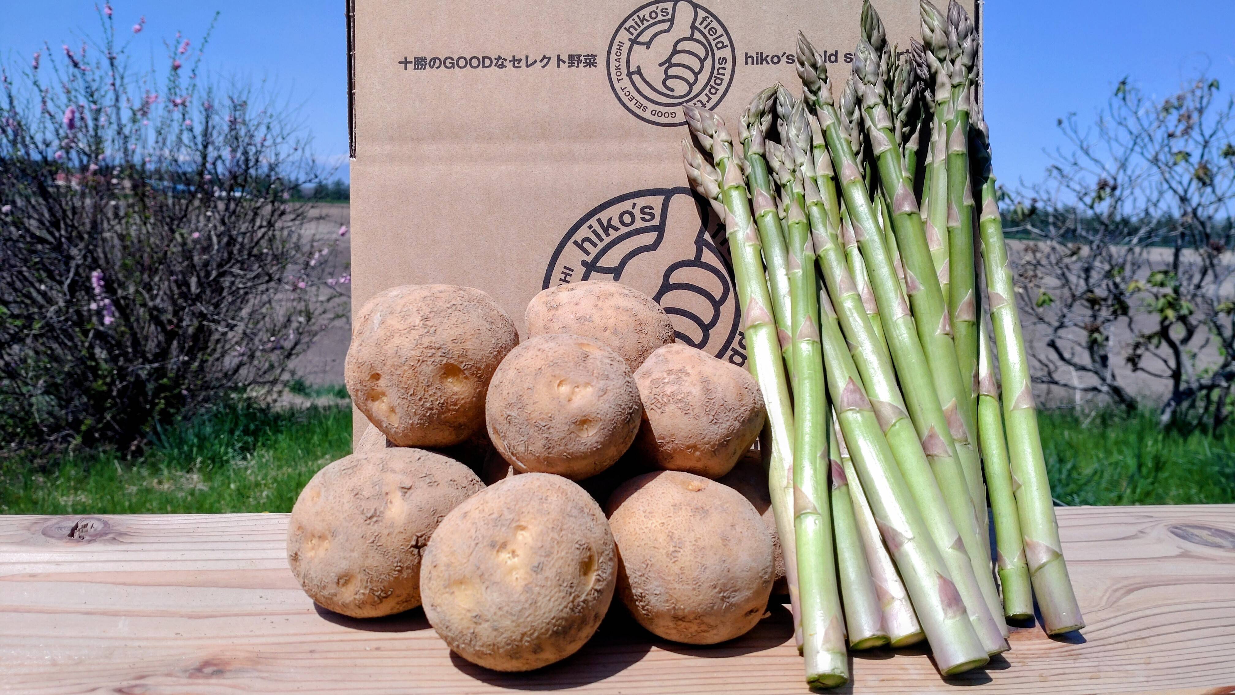 熟成じゃがいも🥔新鮮アスパラセット✨北海道産‼️【アスパラ】約500g