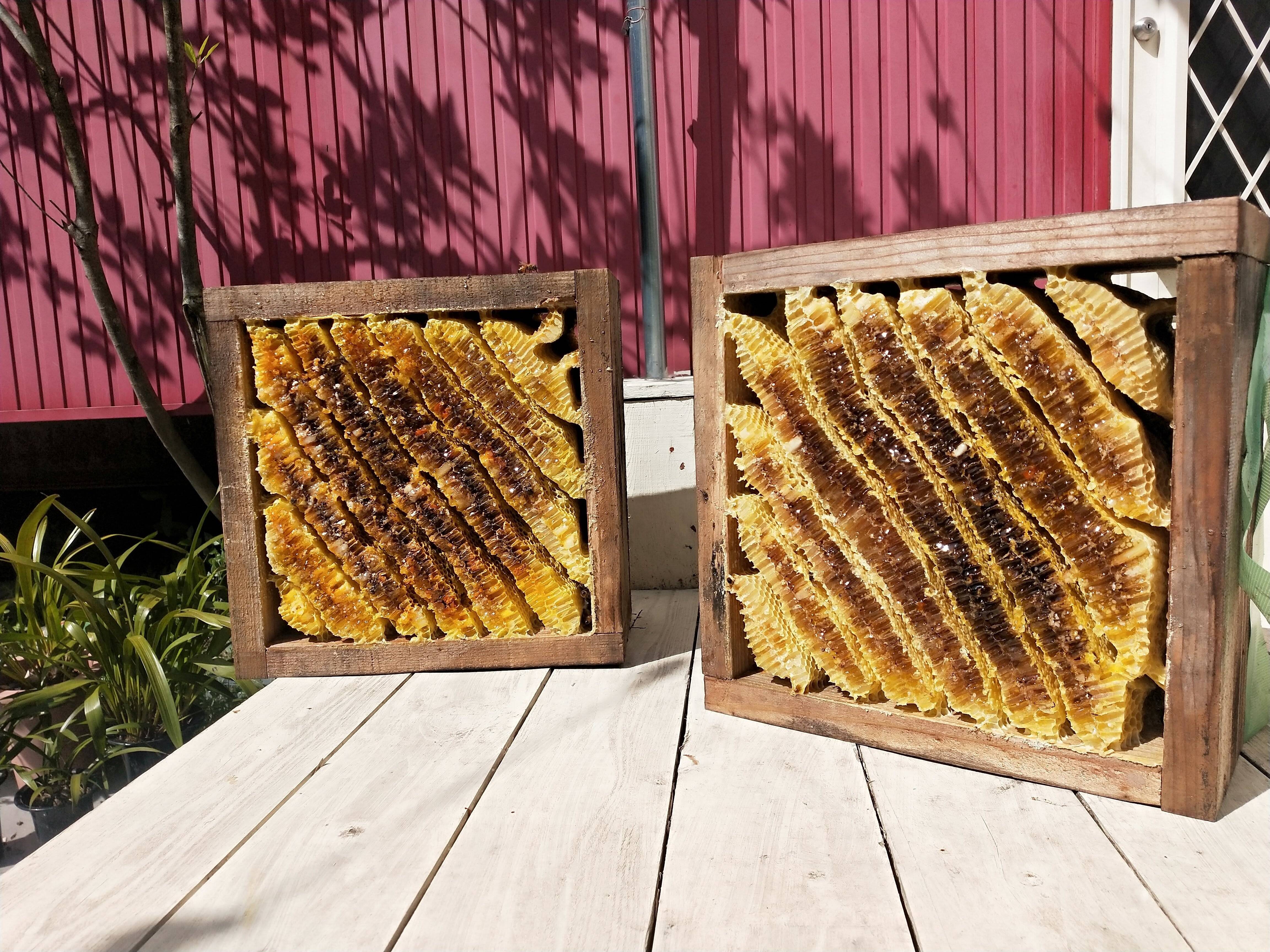 6b8d0feeaaad286a898a0f2e6f52d3