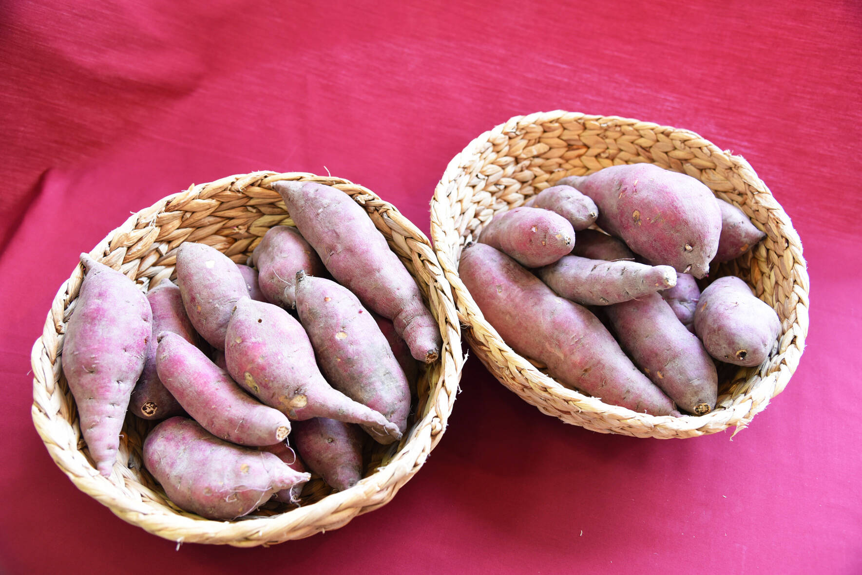 和らぎ農法 さつまいも食べ比べ便 約4kg 滋賀県産 食べチョク 農家 漁師の産直ネット通販 旬の食材を生産者直送