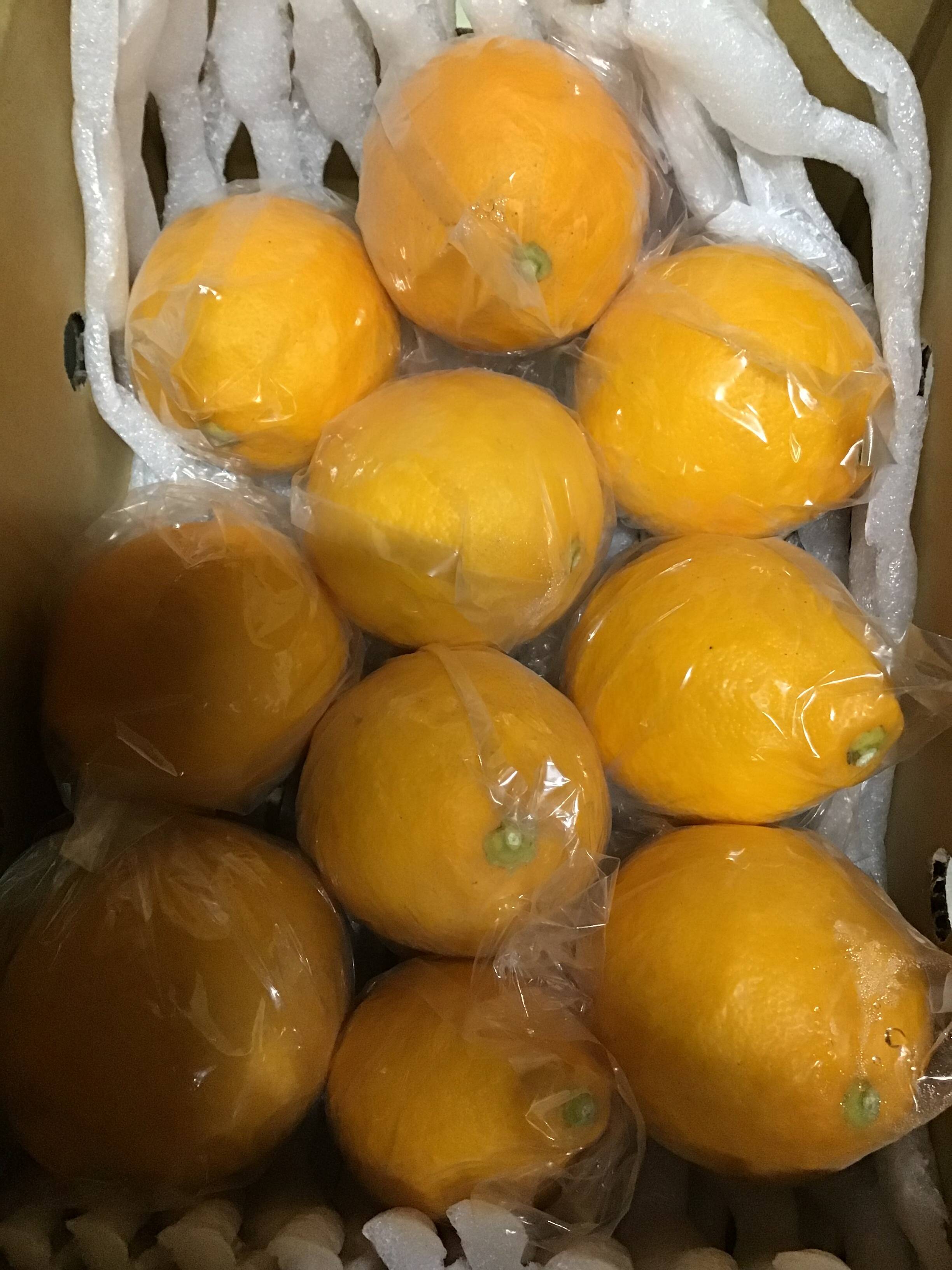 国産レモン🍋2キロ、食べ比べ：熊本県産のみかん・柑橘類｜食べチョク