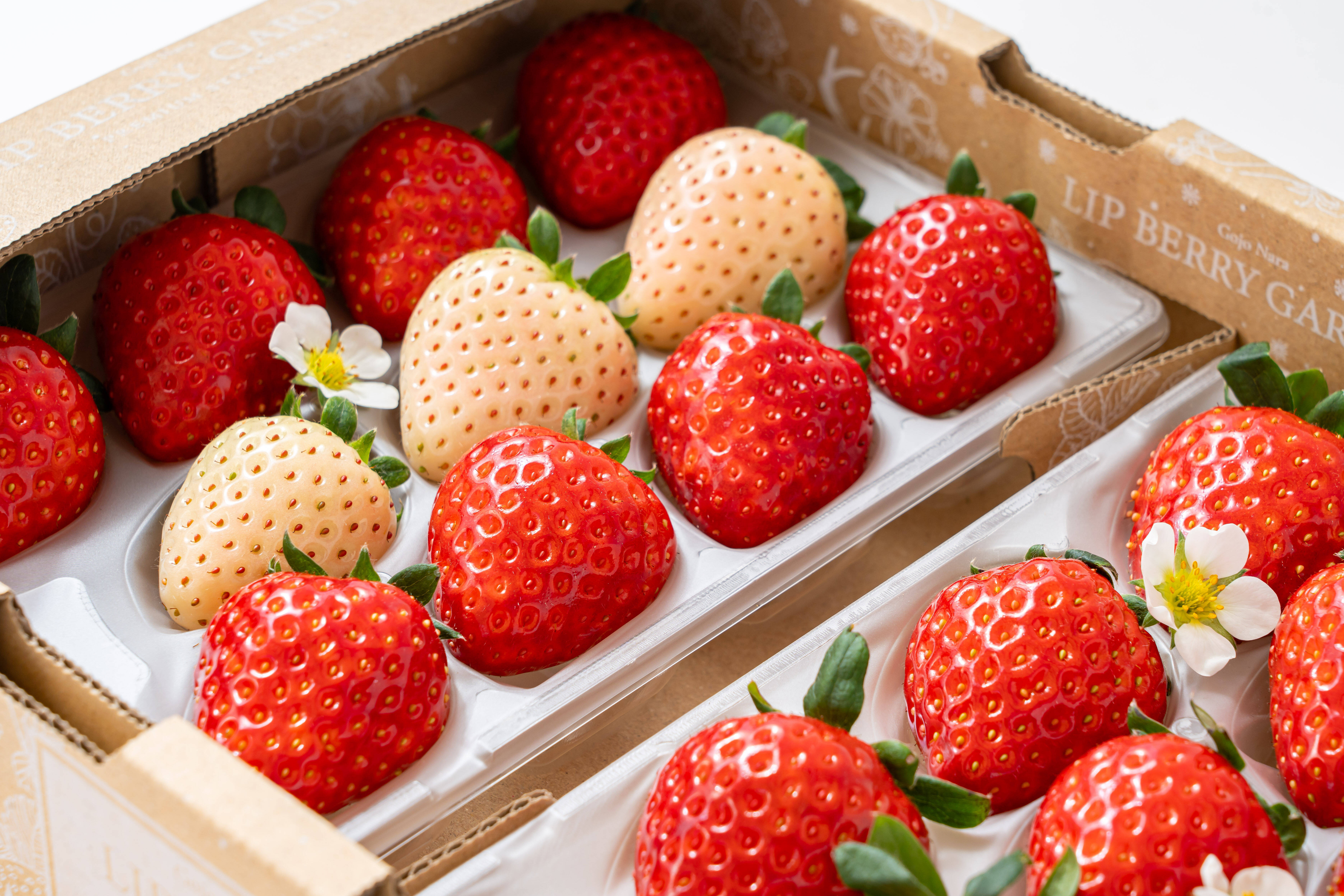 ✨️🏆[全国いちご品評会銀賞]🍓✨️奈良ブランド苺「古都華と旬の