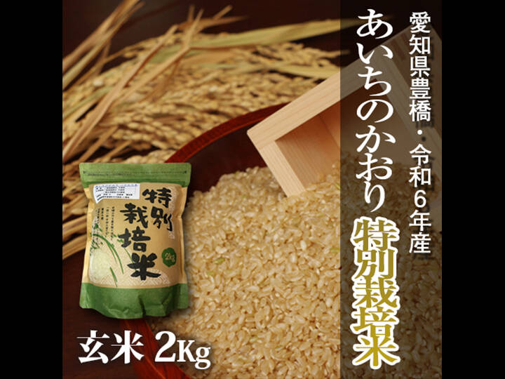 新米　令和7年産　あいちのかおり　玄米30キロ　112901 愛知県産あいちのかおり
