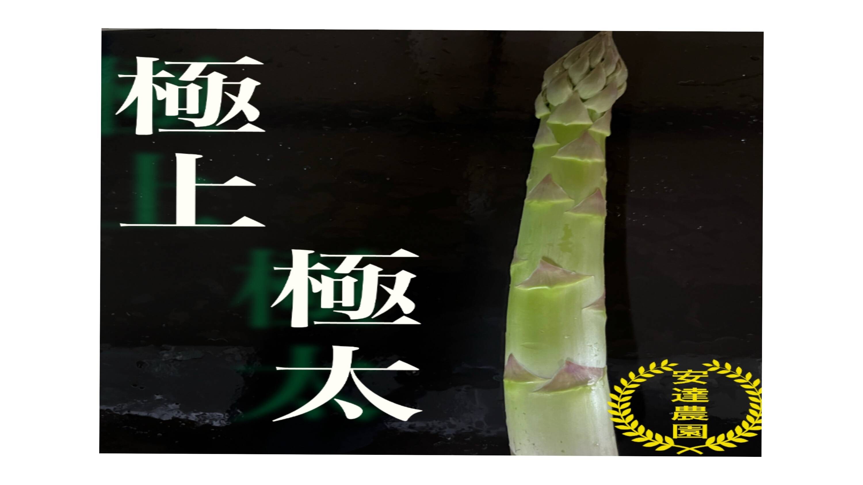 長崎産 アスパラガス3L 2Lサイズ 500グラム｜Yahoo!フリマ（旧