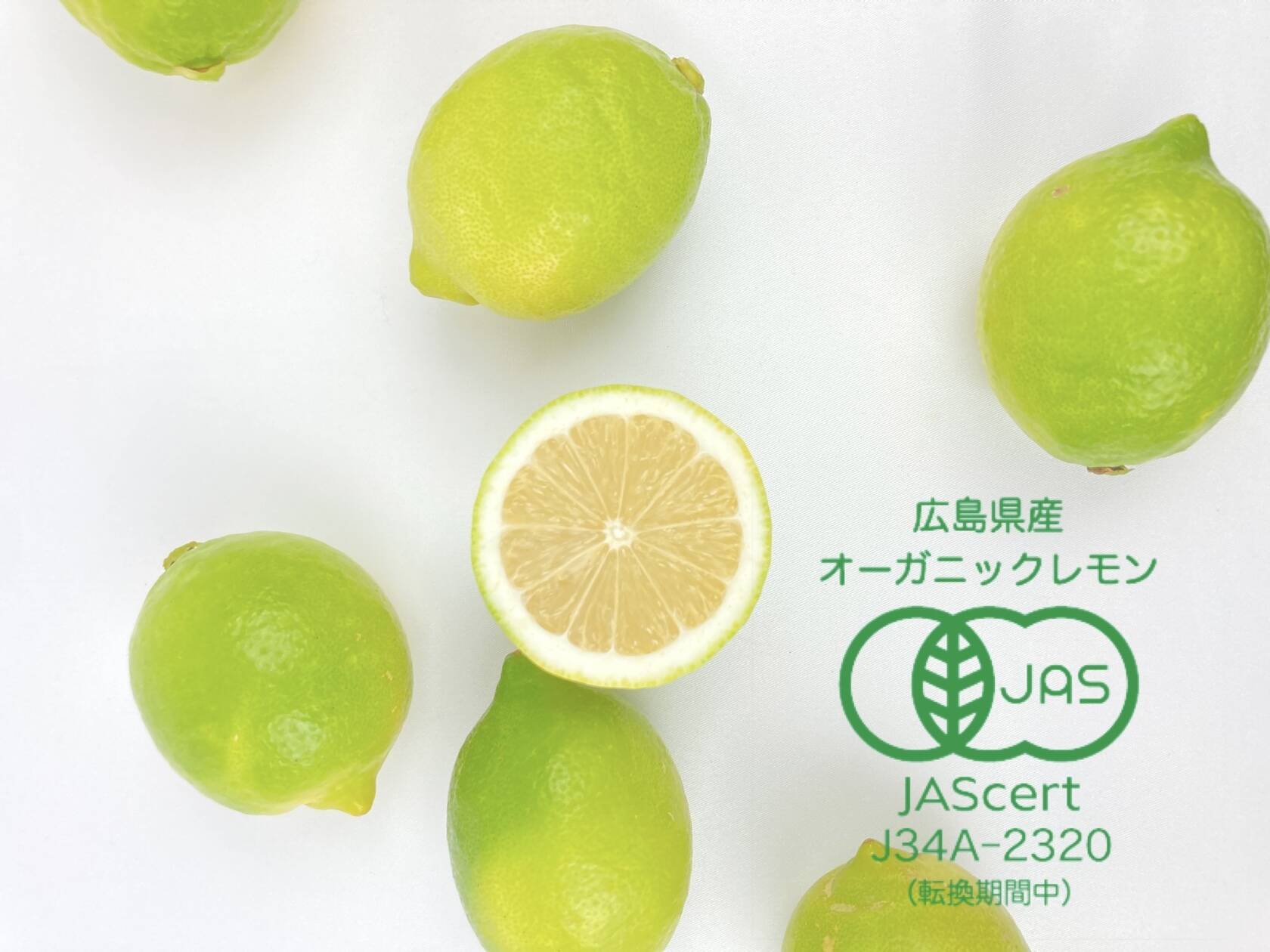 有機JAS認証！】レモン島からお届け♪皮まで♪オーガニックレモン10kg