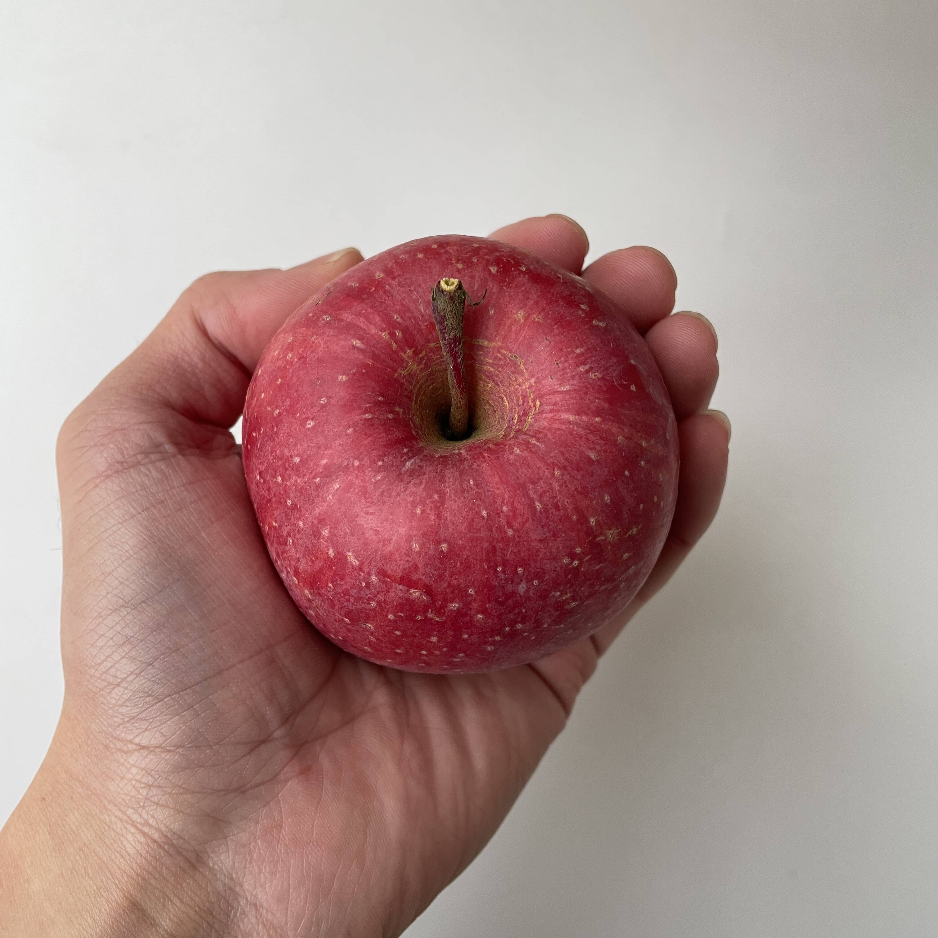 12月10日まで／ちょっと小さめなりんご『サンふじ』3キロ箱満杯詰め