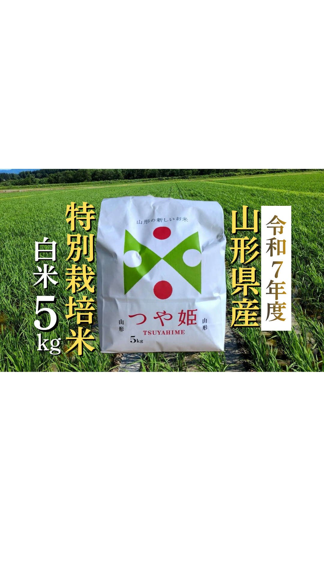 令和7年度新米】特別栽培米つや姫5kgふっくらつやつや：山形県産のつや