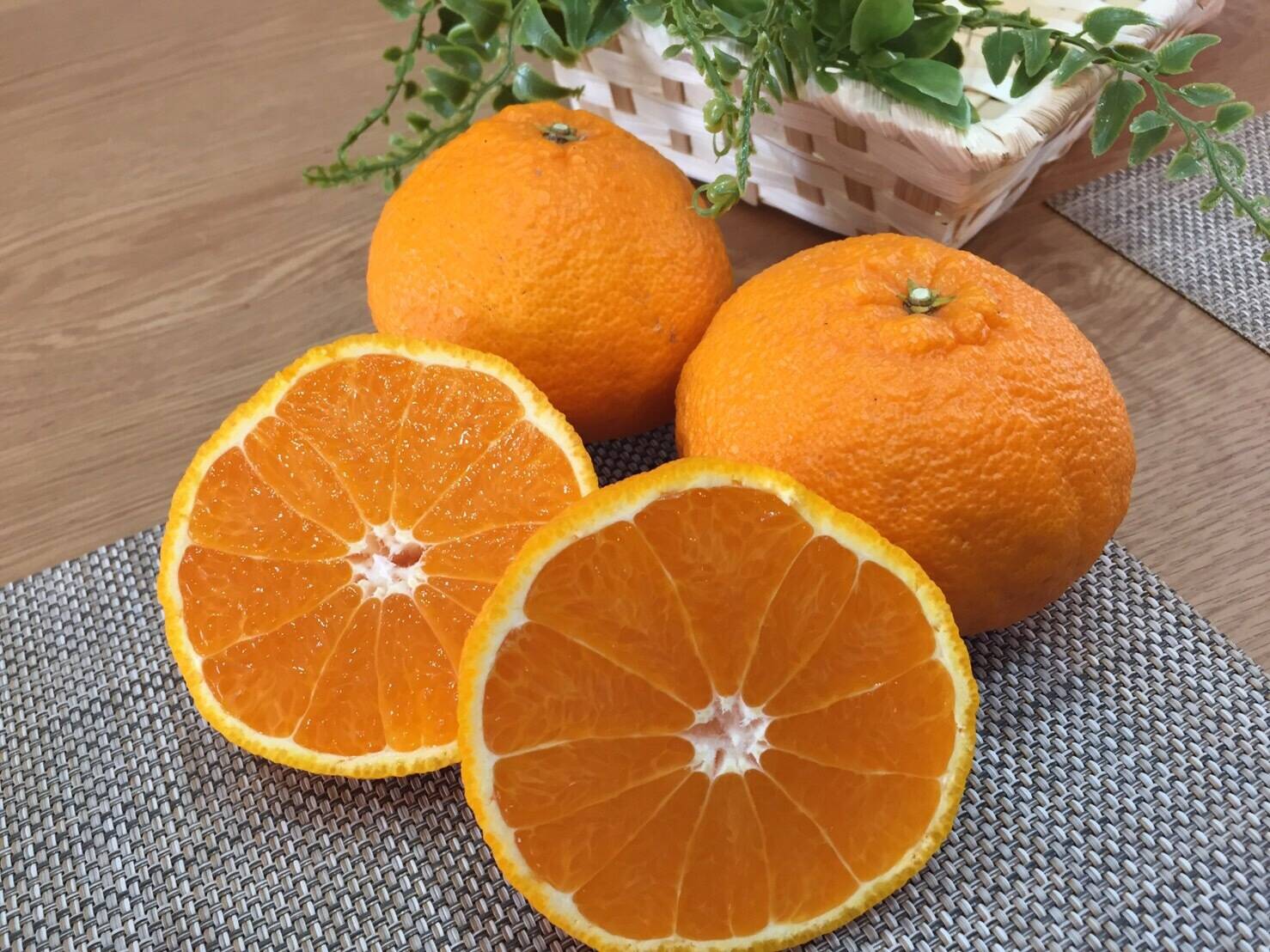 自慢の不知火 約9kg：三重県産のみかん・柑橘類｜食べチョク｜産地直送