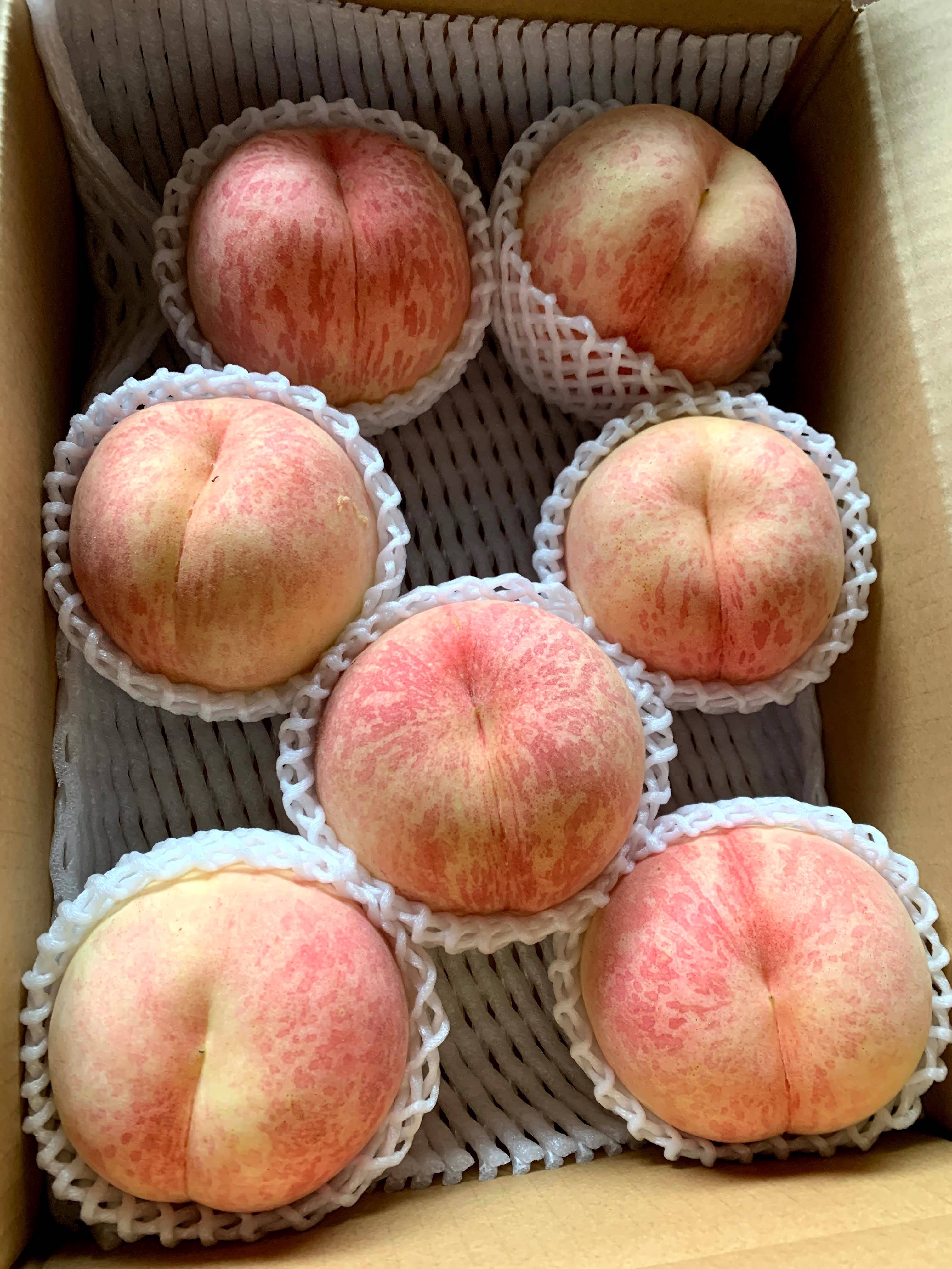 激レア‼️【CX】硬くて、甘い、桃♪1.5kg：長野県産のCX｜食べチョク