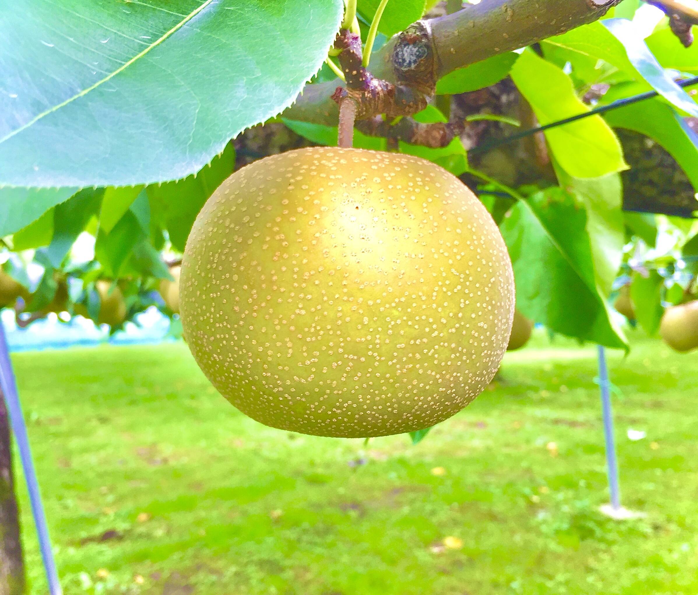 6c567ba451f51bee2f5b110698683f