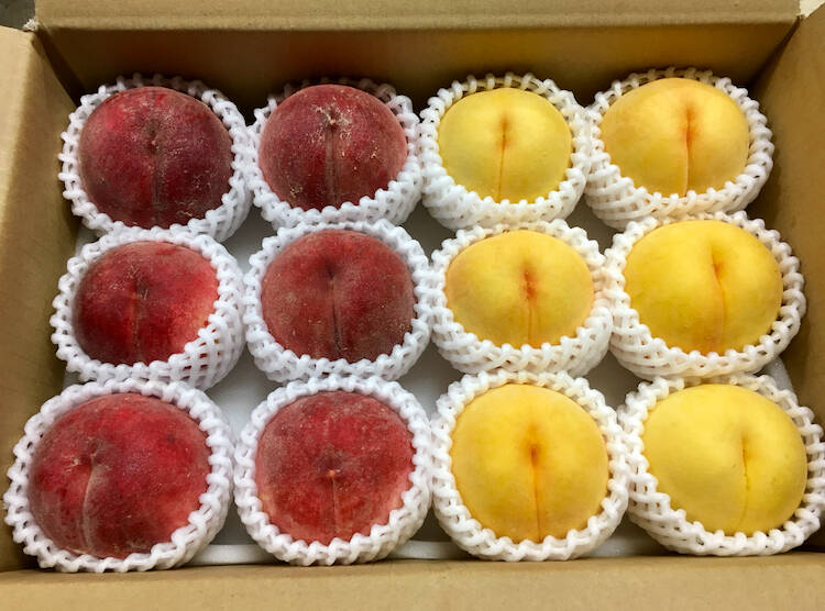 桃　黄金桃　4キロ箱