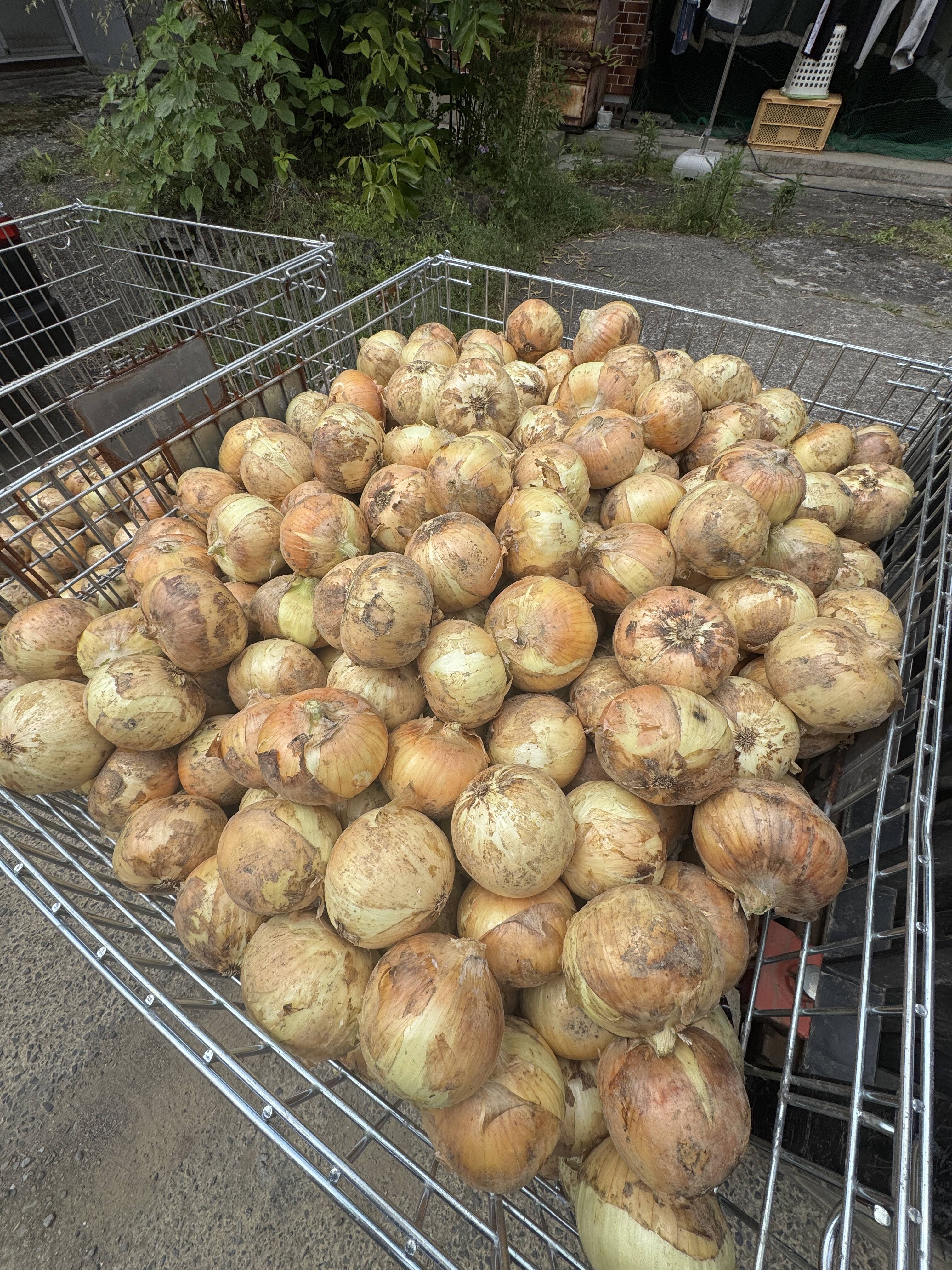 6c9f0d757ce82e526574f370ccab6e