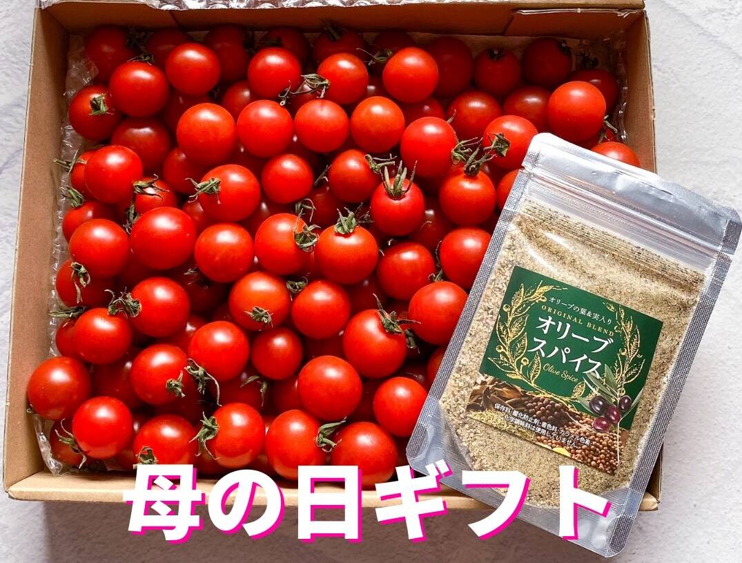 限定母の日ギフト 5 7 16時まで受付 八ヶ岳産ミニトマト１kg 東京都産 食べチョク 農家 漁師の産直ネット通販 旬の食材を生産者直送