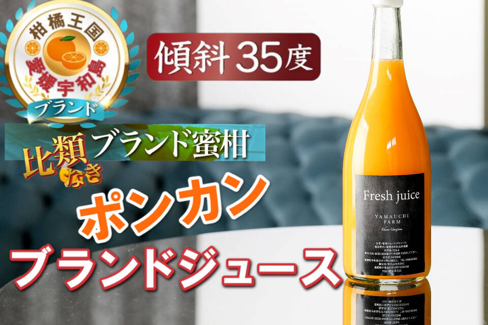 🍊TBS出演記念🍊THE・TIME紹介ミシュラン御用達『幻のポンカンジュース