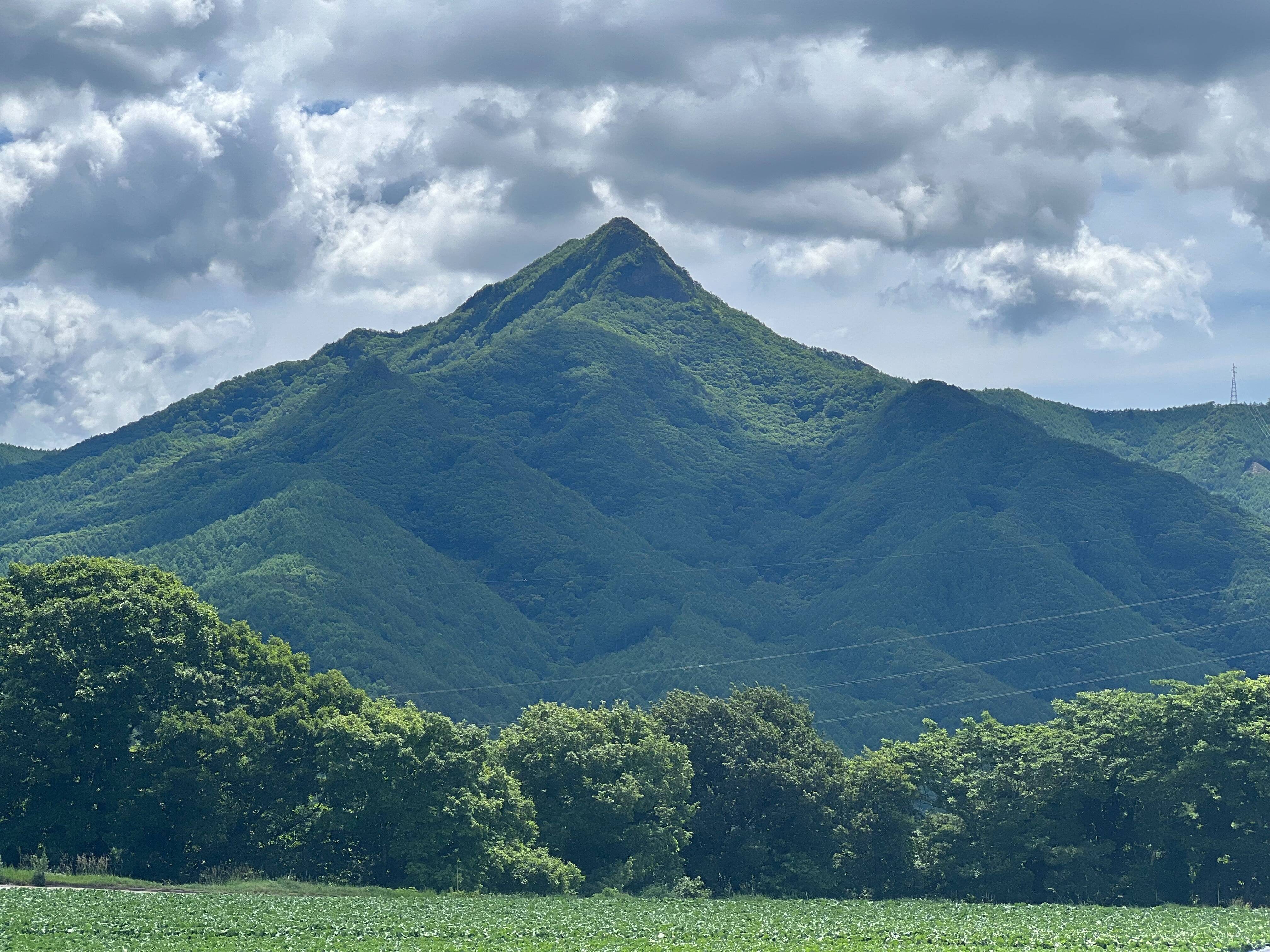 たかみざわ農園へのレビュー・商品：長野県｜食べチョク｜産地直送