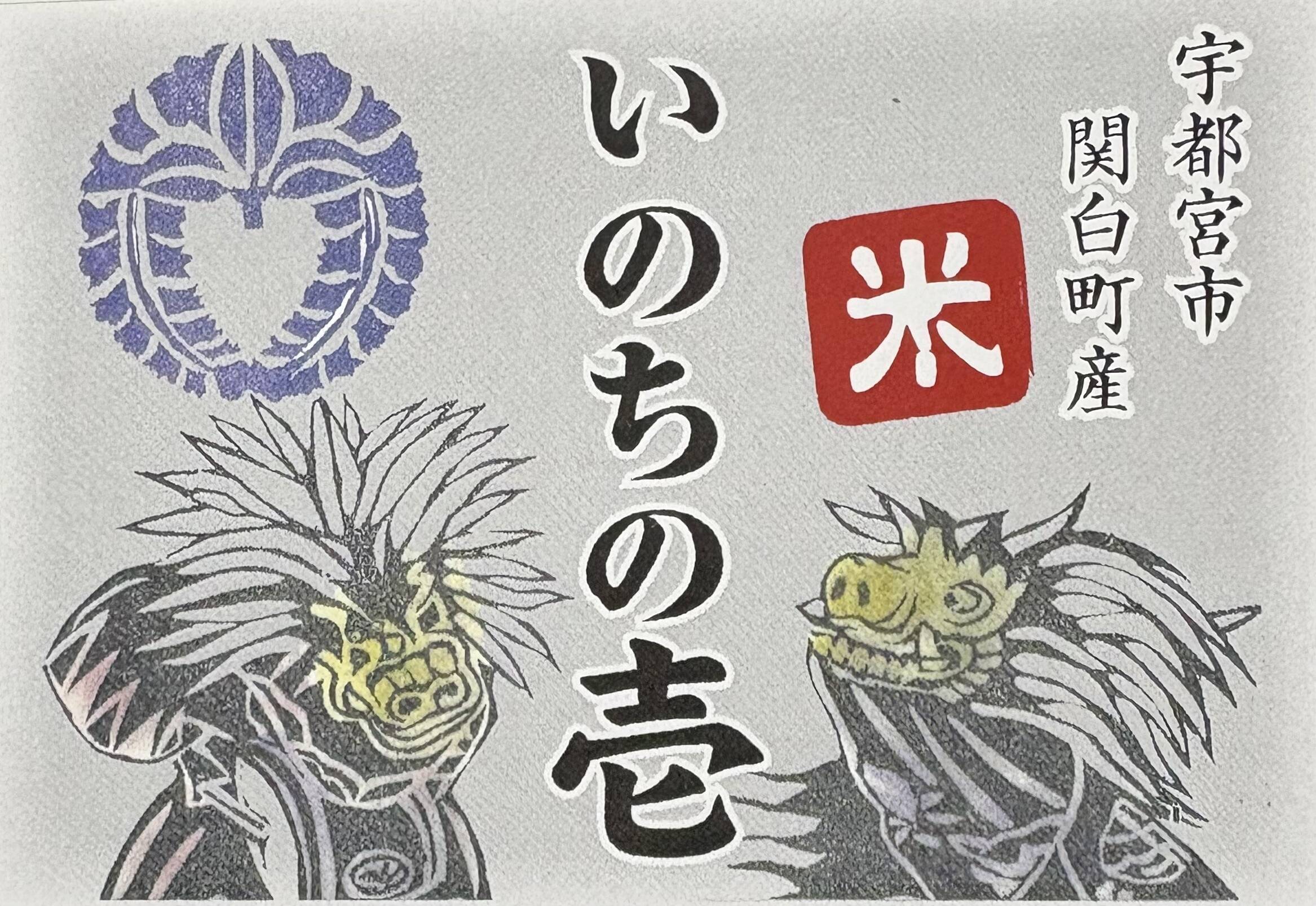 栃木県産農家直売いのちの壱白米9kg いのちの壱(白米)9kg令和7年産 牡蠣殻等 化学肥料不使用：栃木県産のお