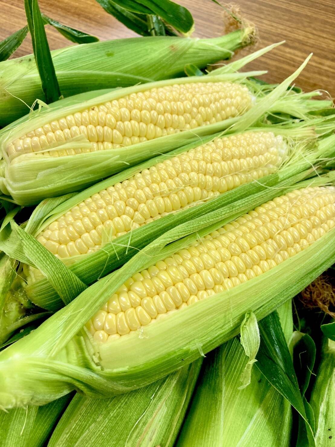 予約販売開始 生でも食べられる朝採りとうもろこし Zocorn ゴールド ５本 プラチナ ５本 セット 岐阜県産のとうもろこし 食べチョク 産地直送 産直 お取り寄せ通販 農家 漁師から旬の食材を直送