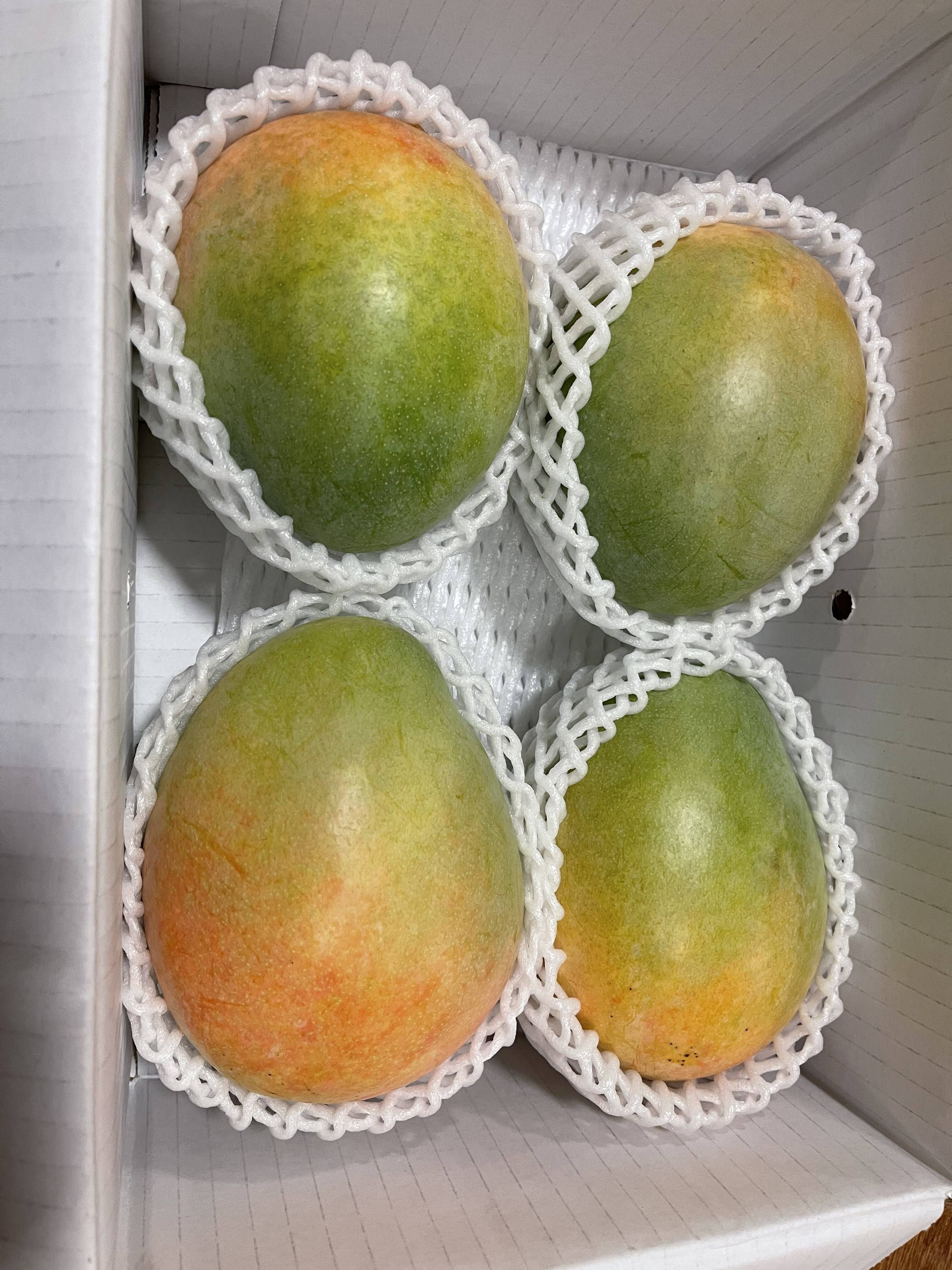 SALE【家庭用】キーツマンゴー3Kg前後（3玉〜5玉）：沖縄県産のキーツ