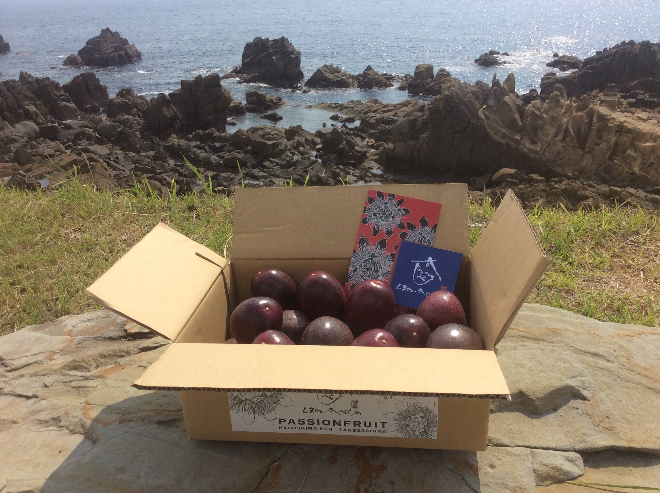 再入荷】 鹿児島県産パッションフルーツ2キロ20個特大玉