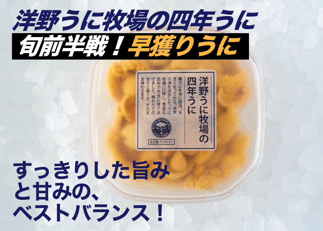 洋野うに牧場の四年うに 塩水パック 100g 1パック 岩手県産 食べチョク 農家 漁師の産直ネット通販 旬の食材を生産者直送