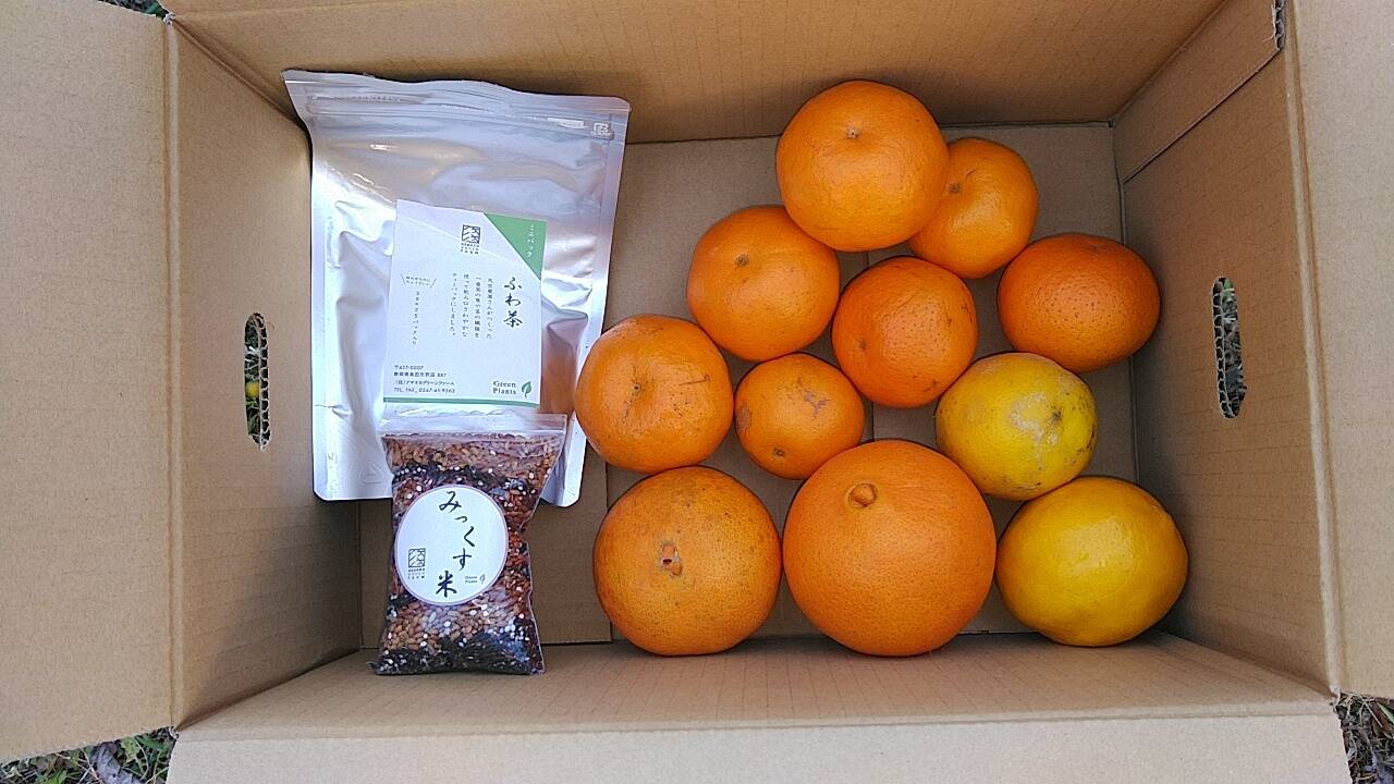 あすみ20kg(露地、家庭用)へなちょこ するがみっくす：静岡県産の果物｜食べチョク｜産地直送(産直)お