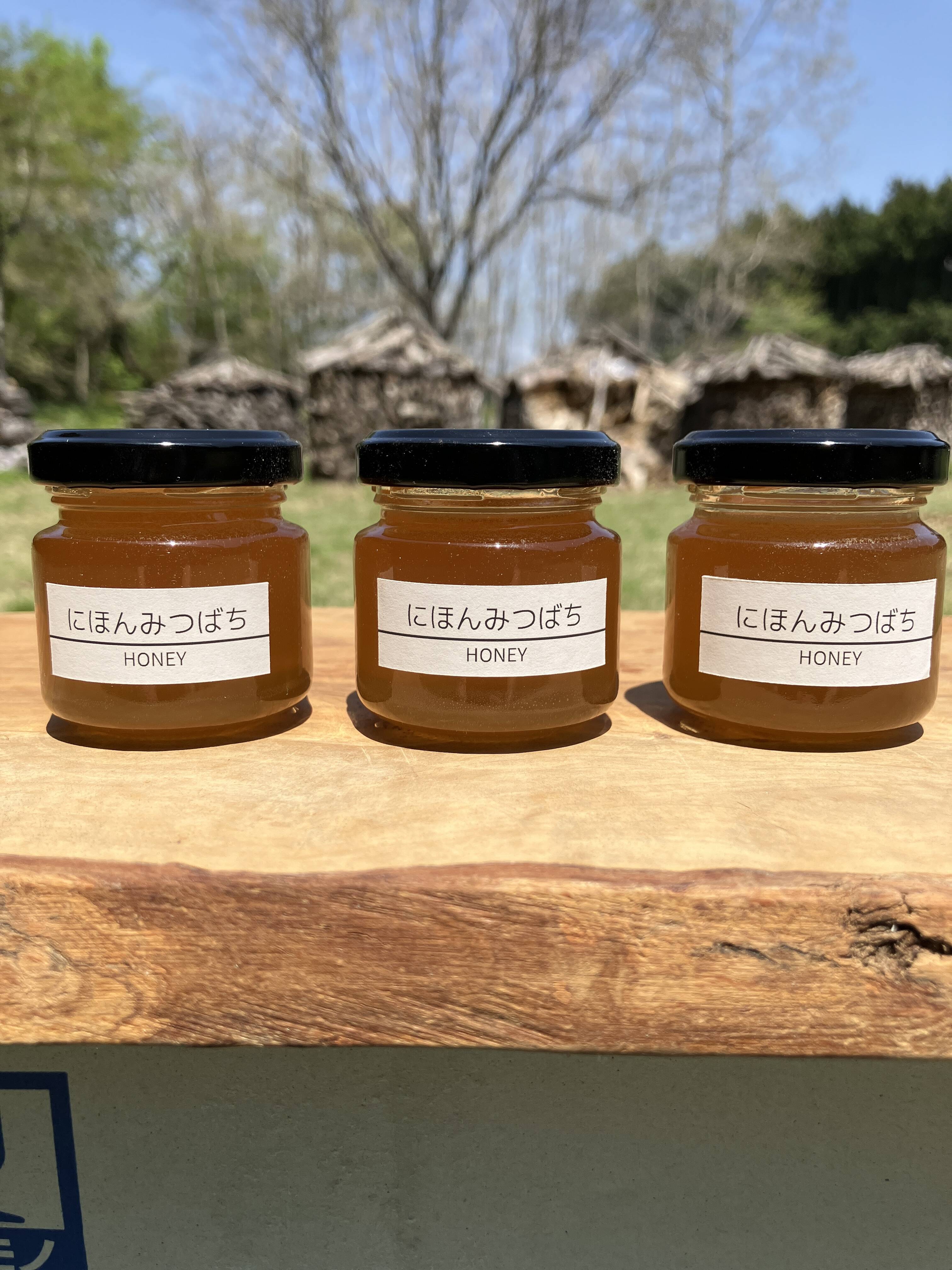 富士山麓の「にほんみつばち」HONEY 天然はちみつ 50g×3本セット