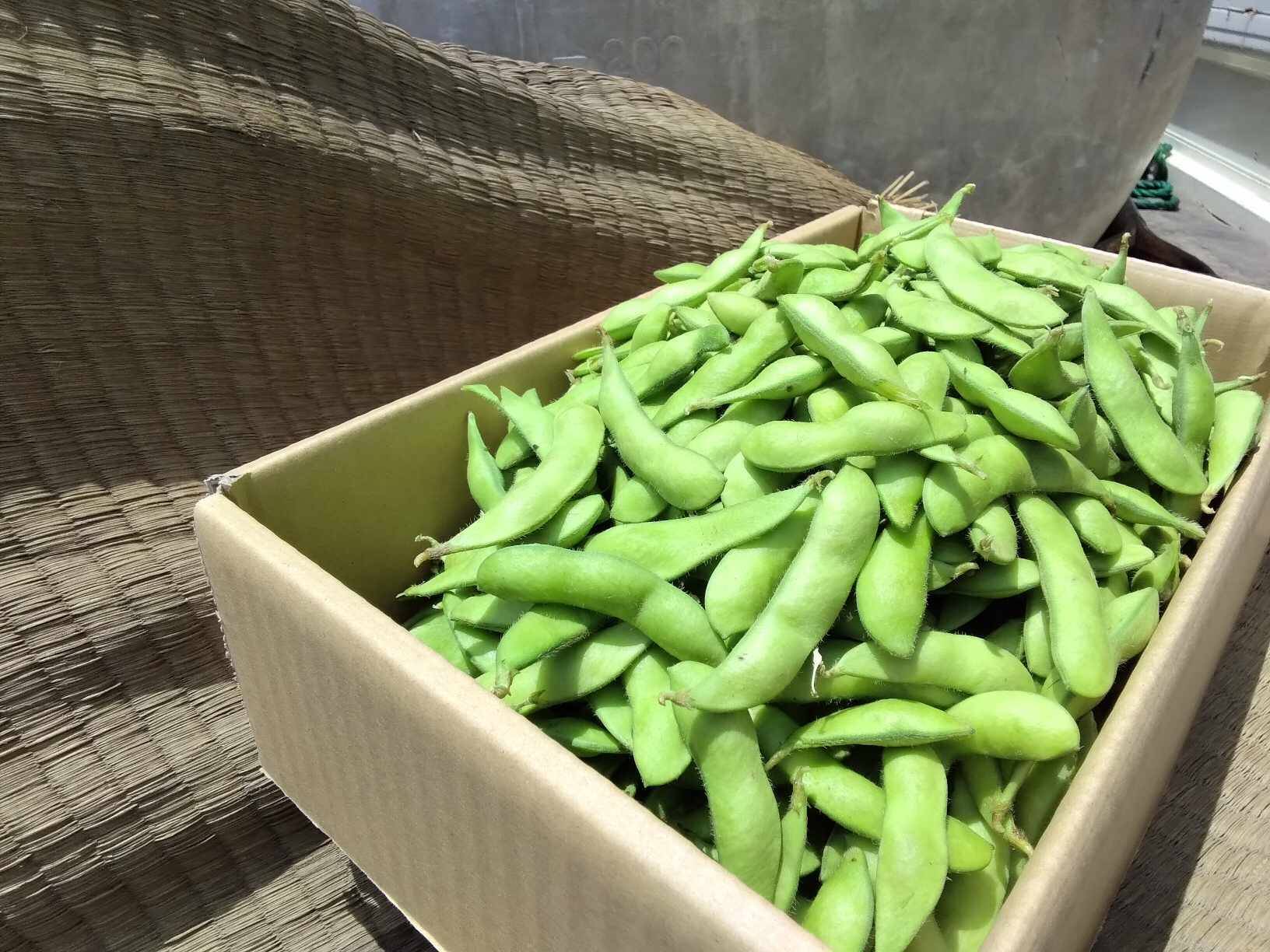 えだまめ 北海道十勝産すぐ食べられるえだまめ｜冷凍食品｜商品情報