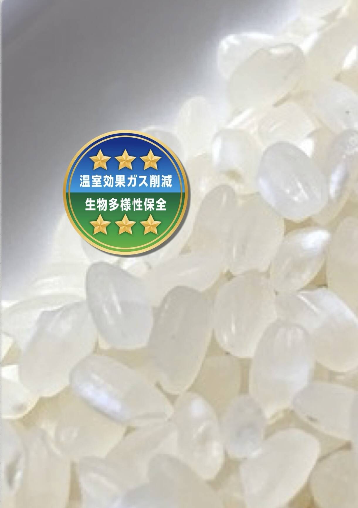 ★★サマータイム★様★専用【特別栽培米 朝日】20kg サマータイム☆様☆専用【特別栽培米 朝日】20kg
