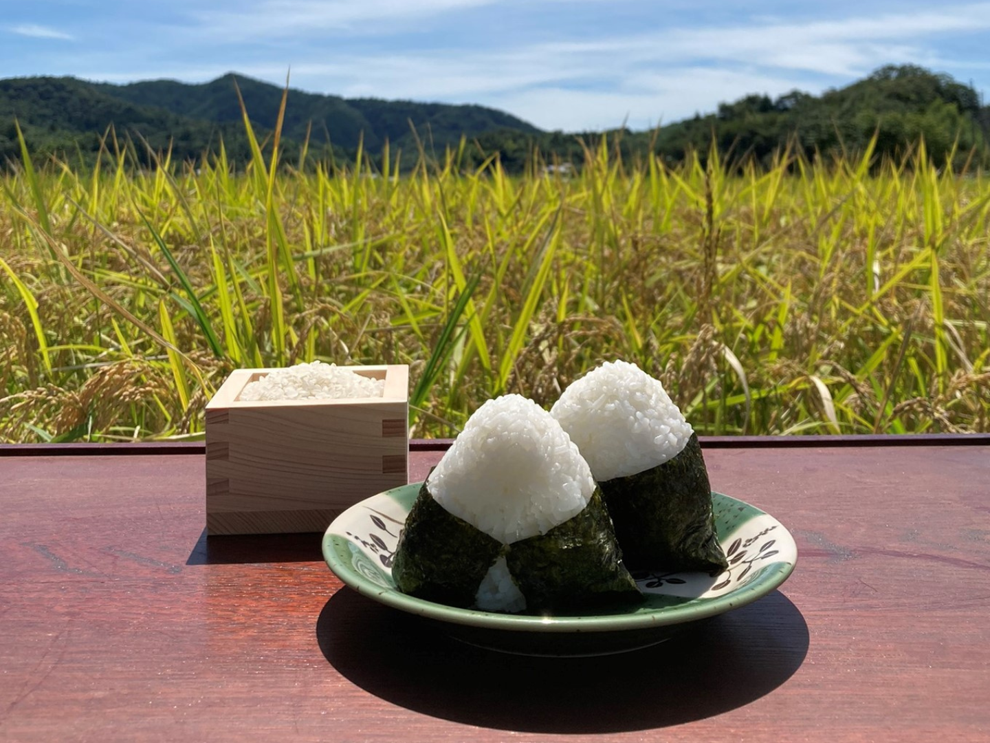 令和4年 岡山県産 無農薬 5キロ つきあかり 玄米 - 通販