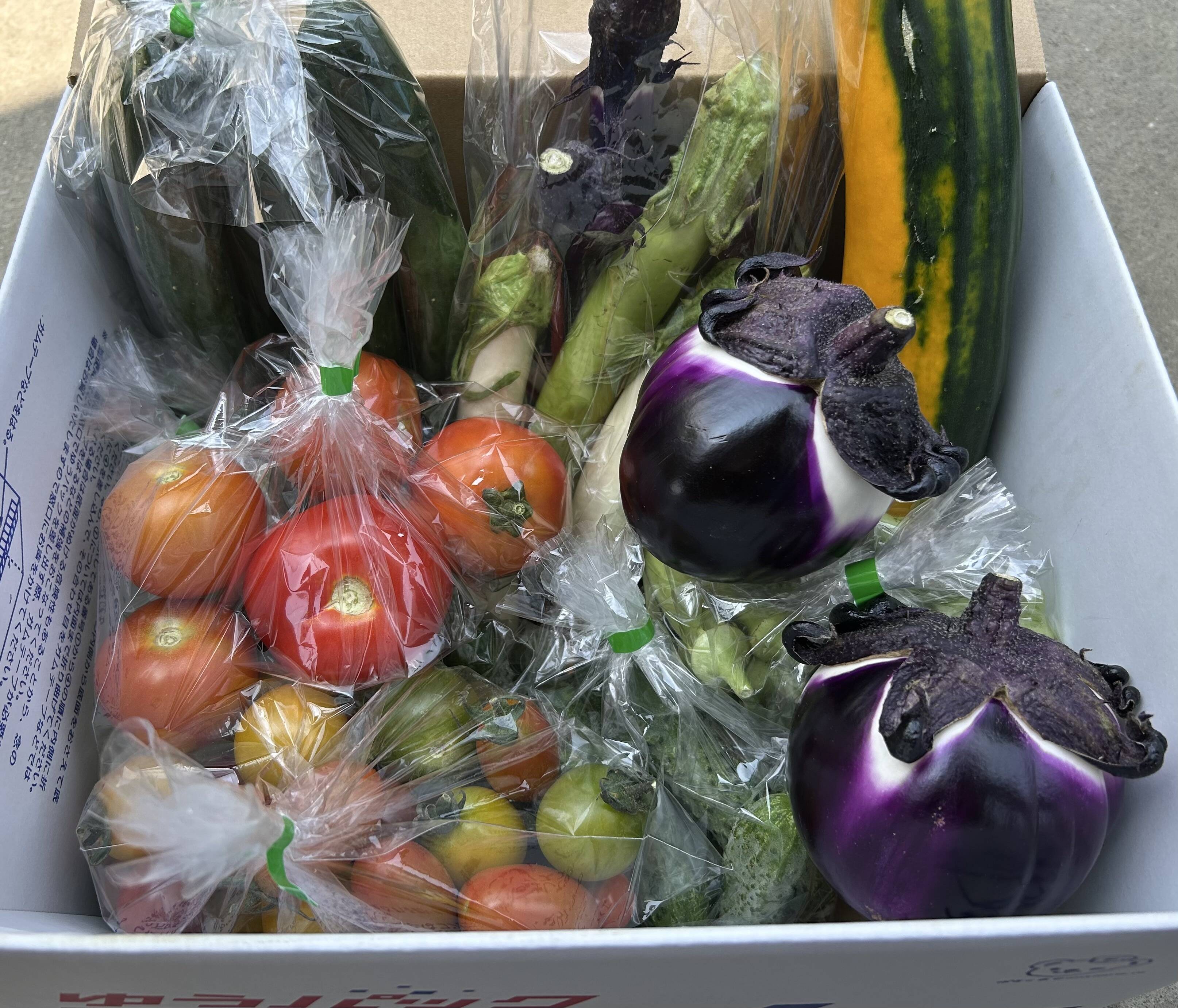 野菜セット、奈良県産 野菜セット、奈良県産