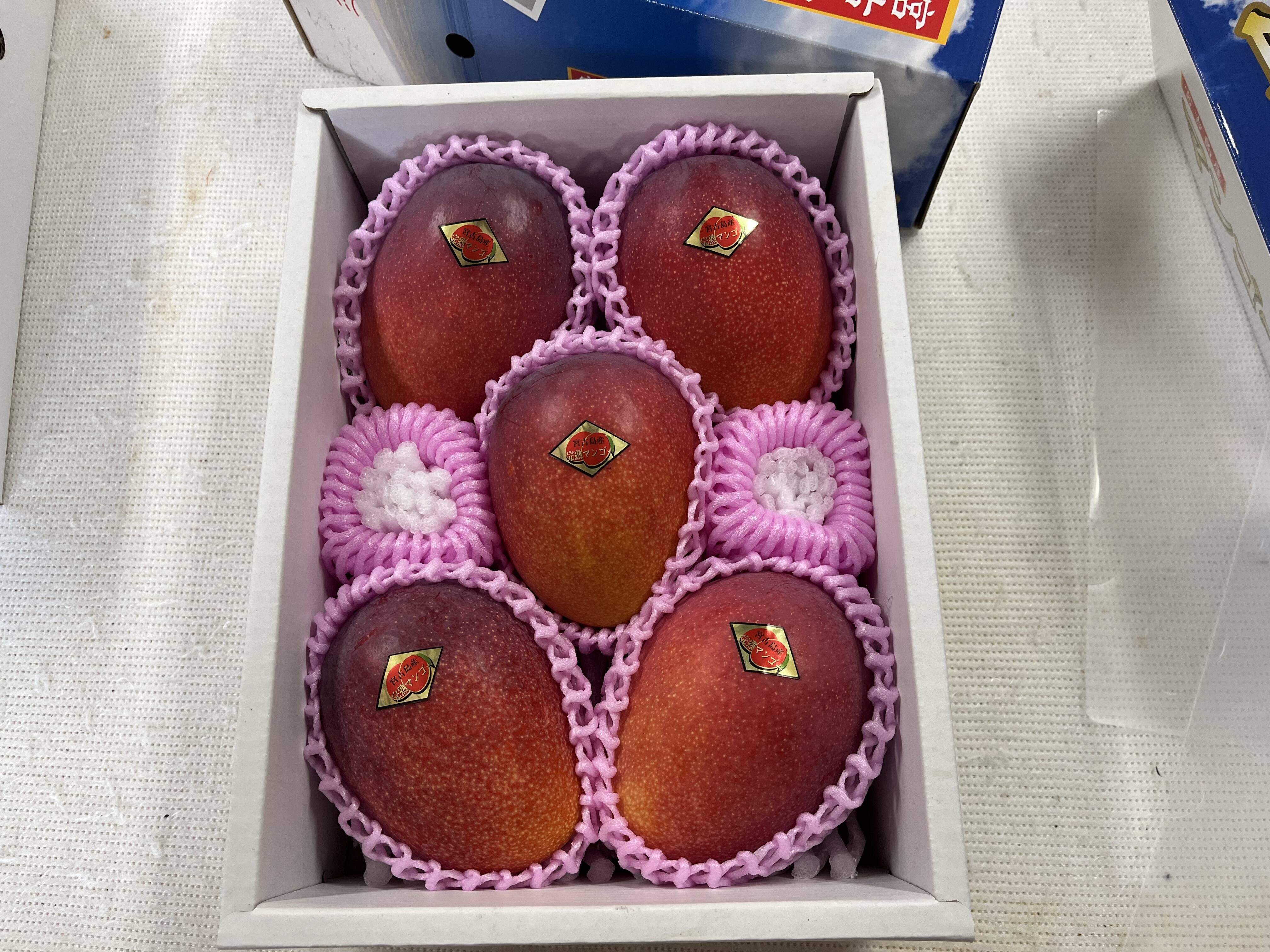 宮古島産完熟マンゴー 5玉（約2kg）家庭用 - 果物