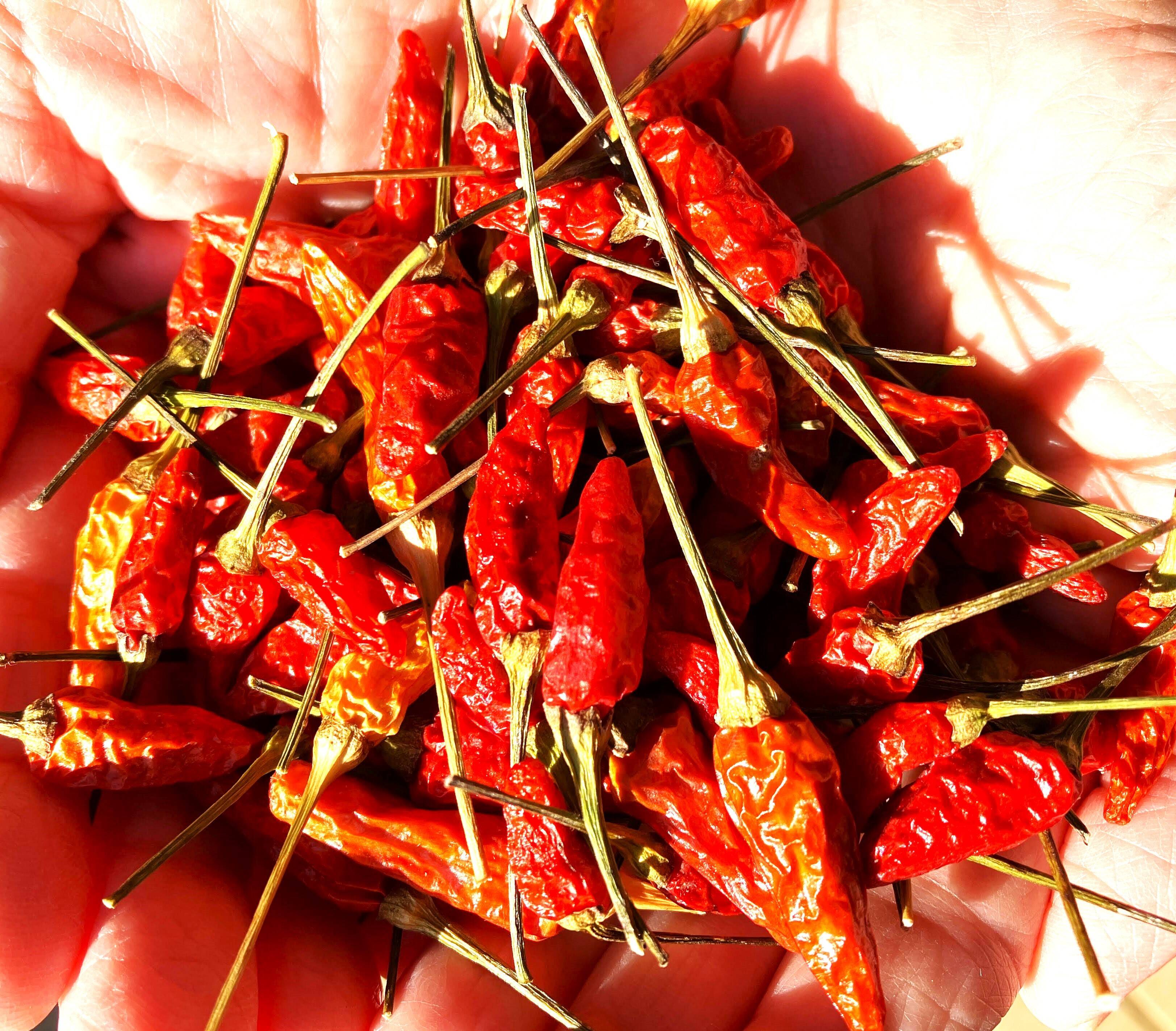 6ea39a41d5ed6cbe248bf8bd444ef9