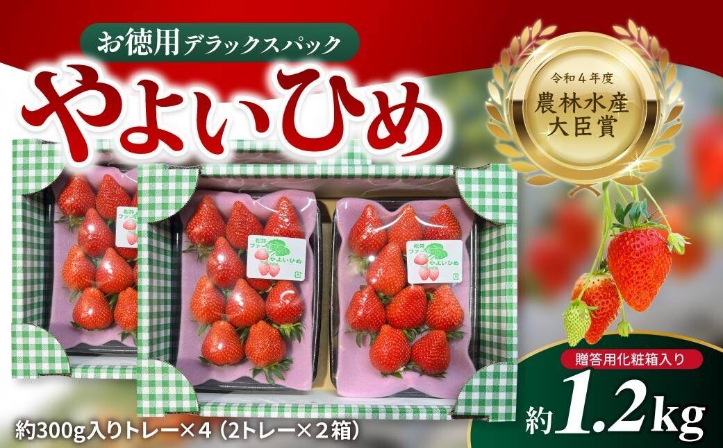 令和4年度 農林水産大臣賞受賞！お徳用いちご「やよいひめ」デラックス