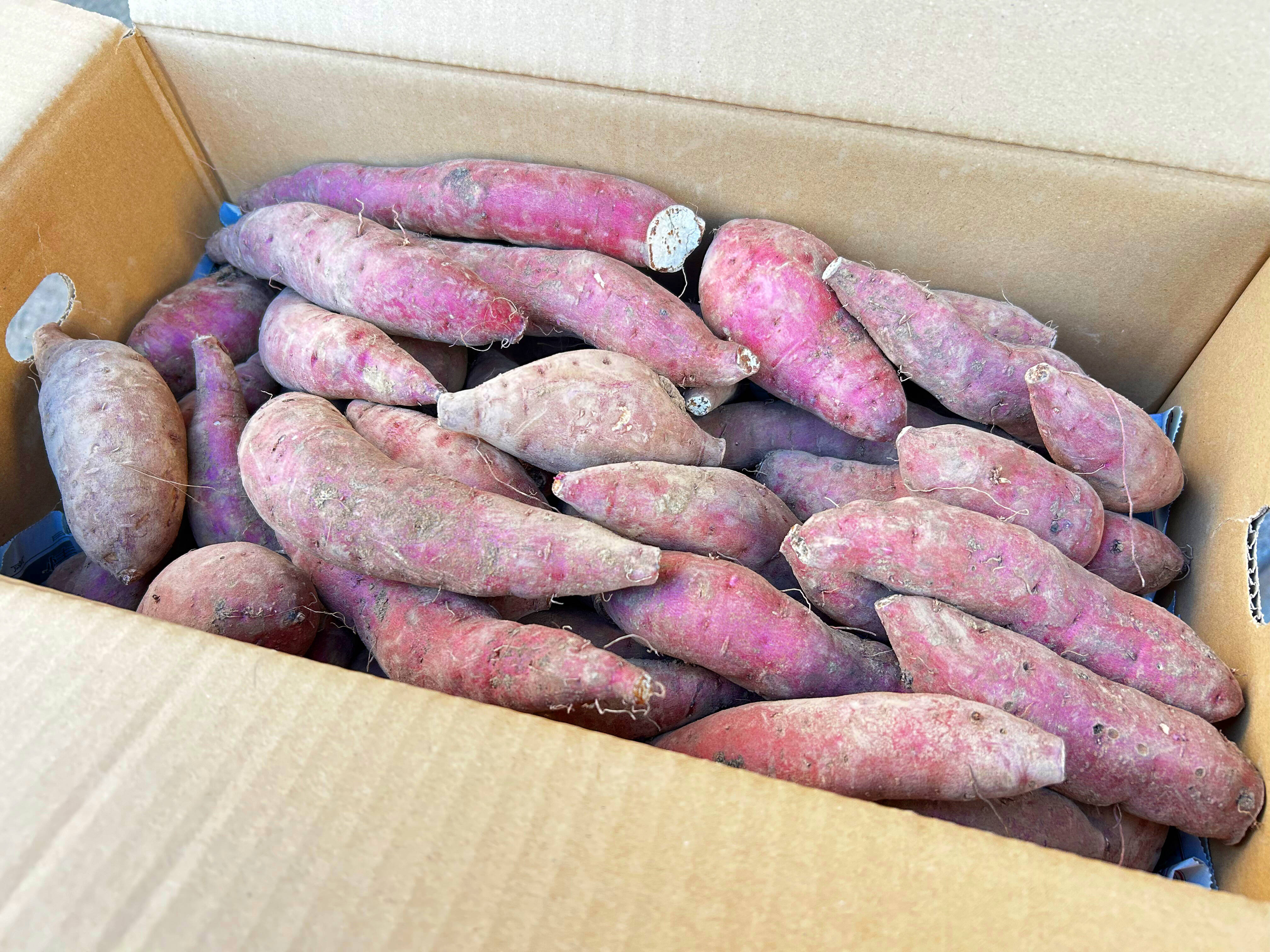 べにはるか　A品L 15キロ 訳あり》紅はるかML15kg：鹿児島県産のべにはるか｜食べチョク｜産地