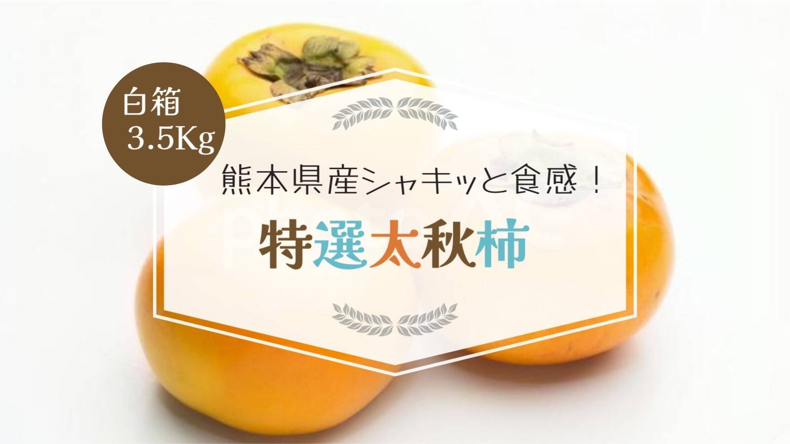 11/15日まで【期間限定】白箱 太秋柿3.5kg：熊本県産の果物｜食べチョク｜産地直送(産直)お取り寄せ通販 - 農家・漁師から旬の食材を直送