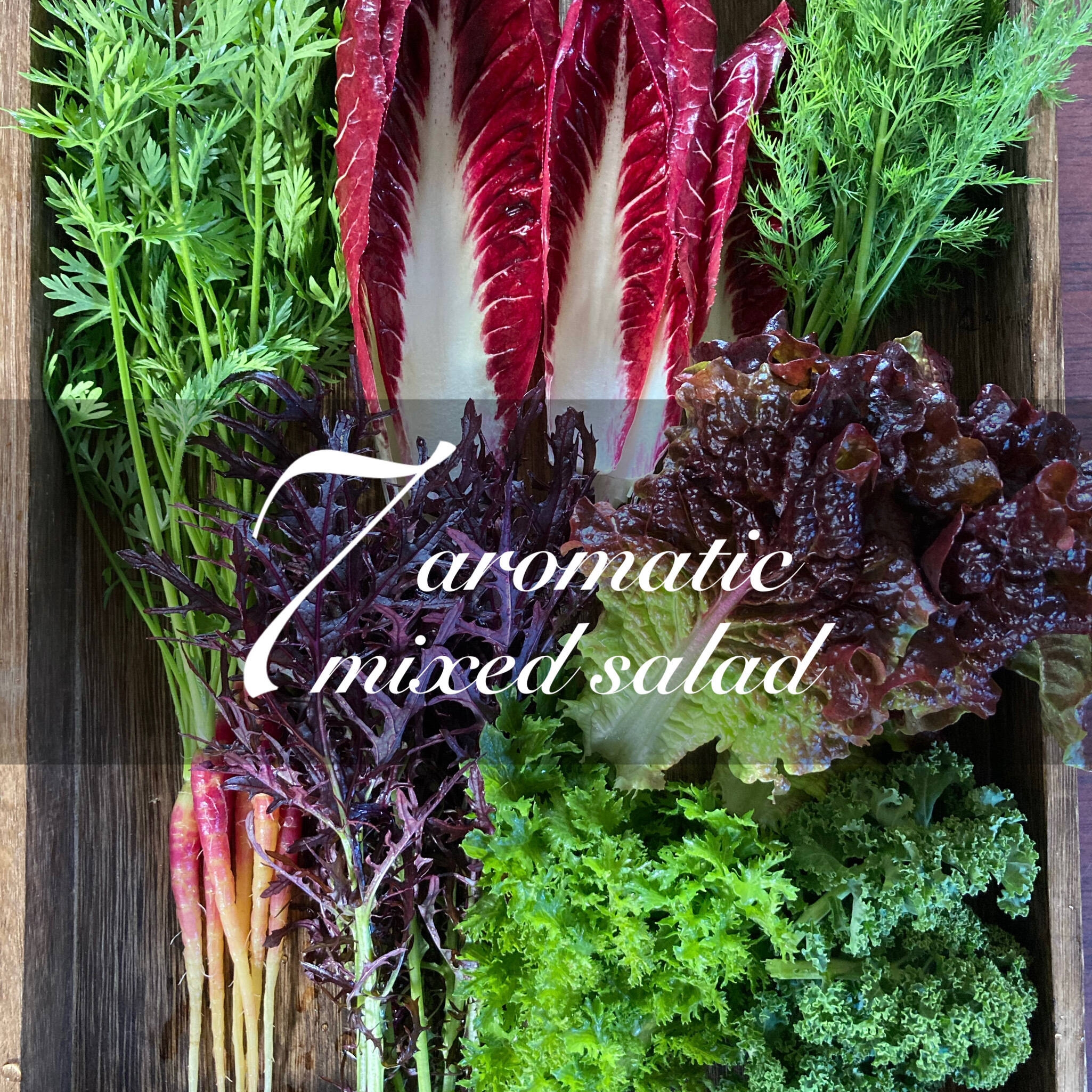 お家でレストランのサラダ！ 7種のサラダ野菜 250g×2袋：富山県産の