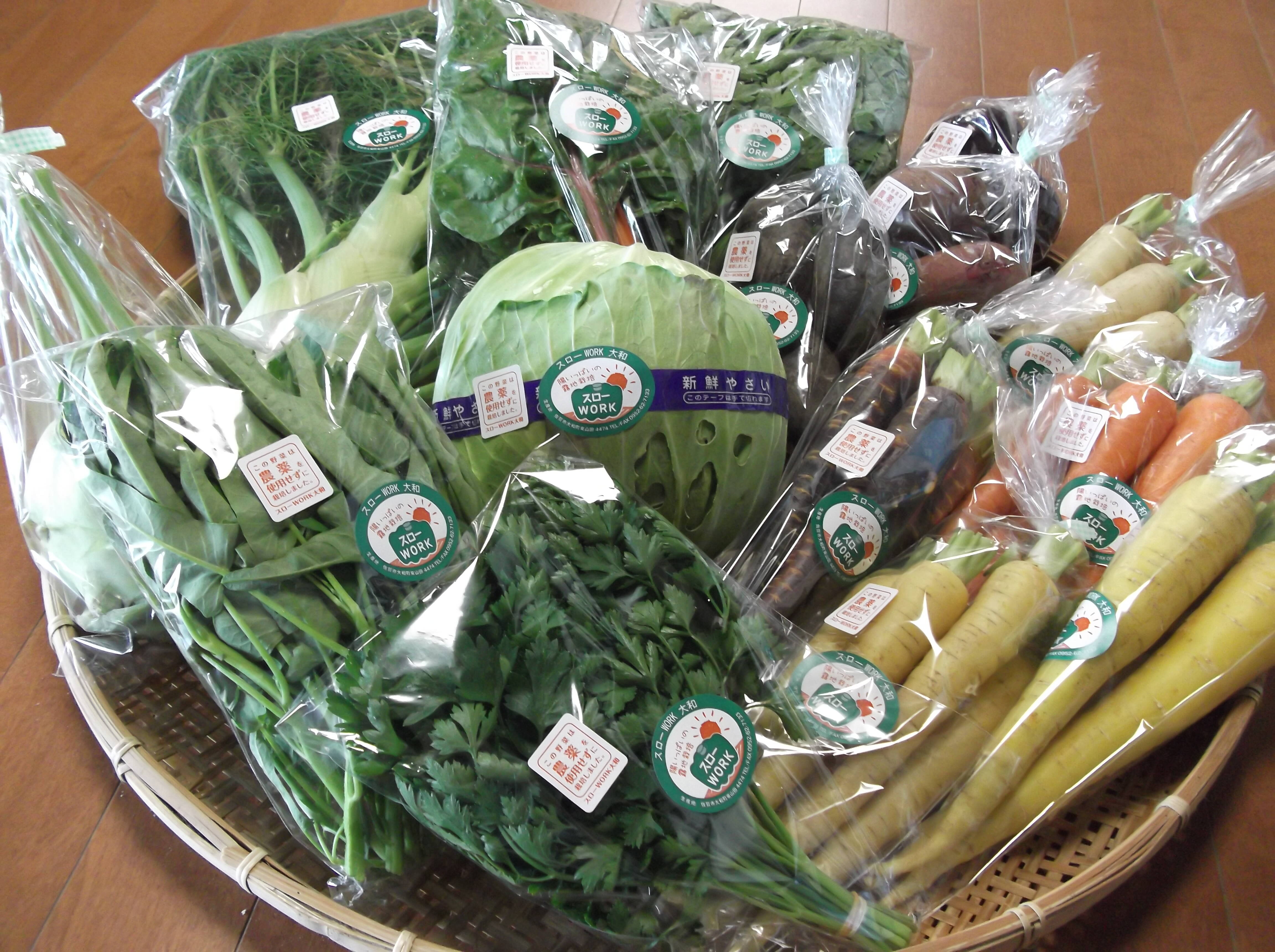 栽培期間中農薬不使用　健康野菜　紫菊芋（約１０Kg）　Kantora 栽培期間中農薬不使用 健康野菜 紫菊芋（約10Kg） Kantora
