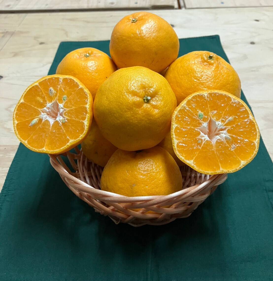 鹿児島県産「うんまかぁポンカン」箱込み10kg：鹿児島県産のみかん