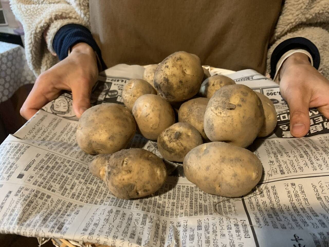 奥出雲産自然栽培じゃがいも(5kg)：島根県産の男爵｜食べチョク