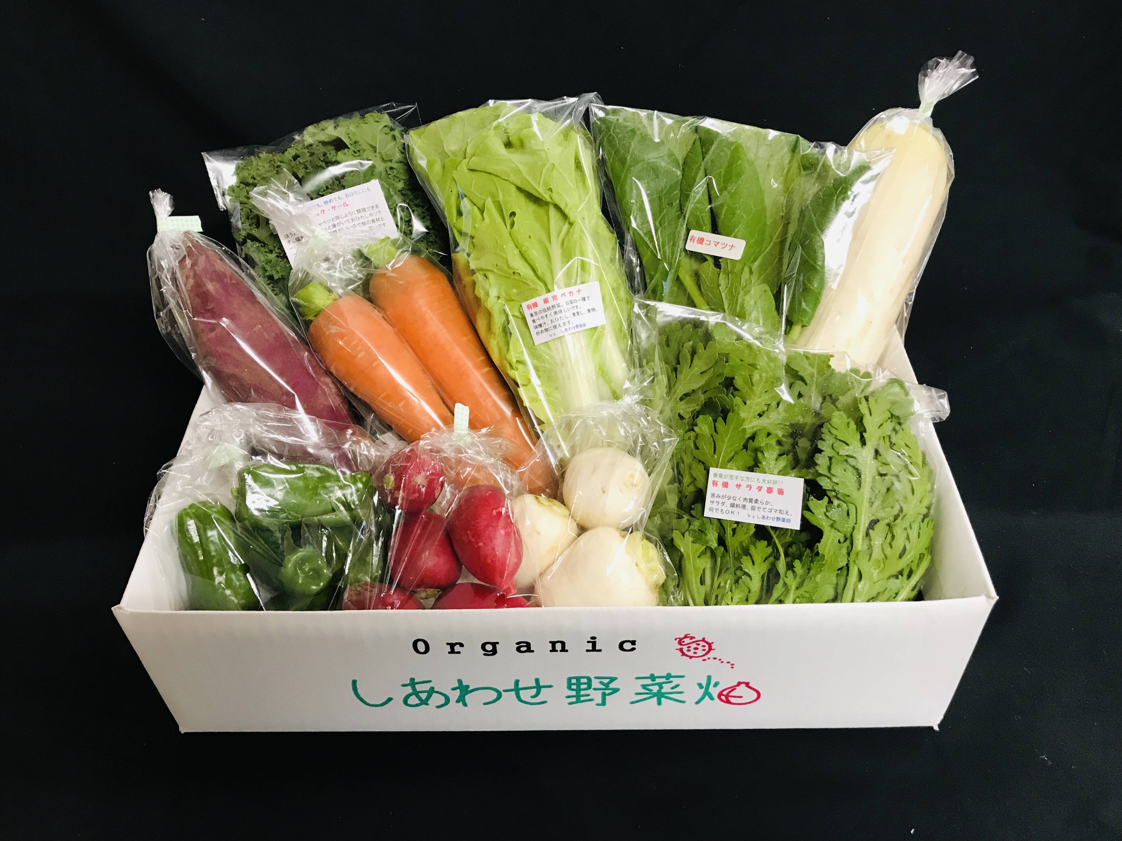 市場 ふるさと納税 オーガニック葉物野菜セット 植物性で育てた完全無農薬の葉野菜ブランド有機JAS