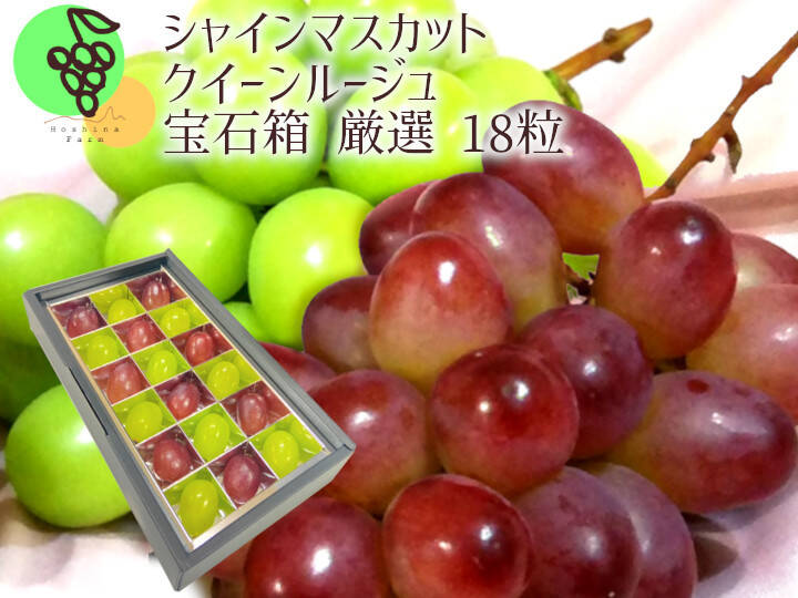 クイーンルージュ＆シャインマスカットの宝石箱 厳選18粒【信州長野県
