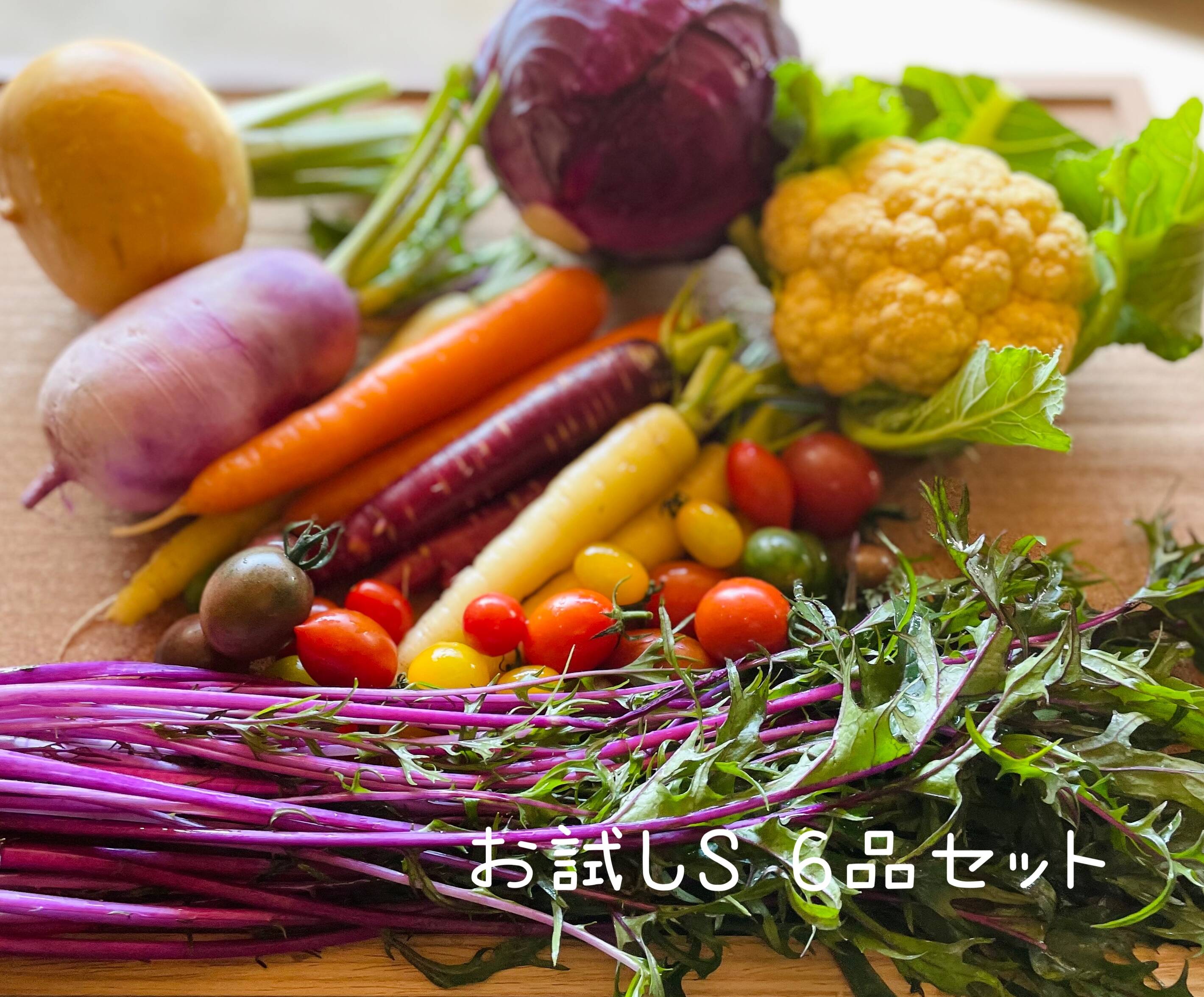 クール便】カラダ喜ぶ『お試しS冬のカラフル野菜セット6品目』：千葉県