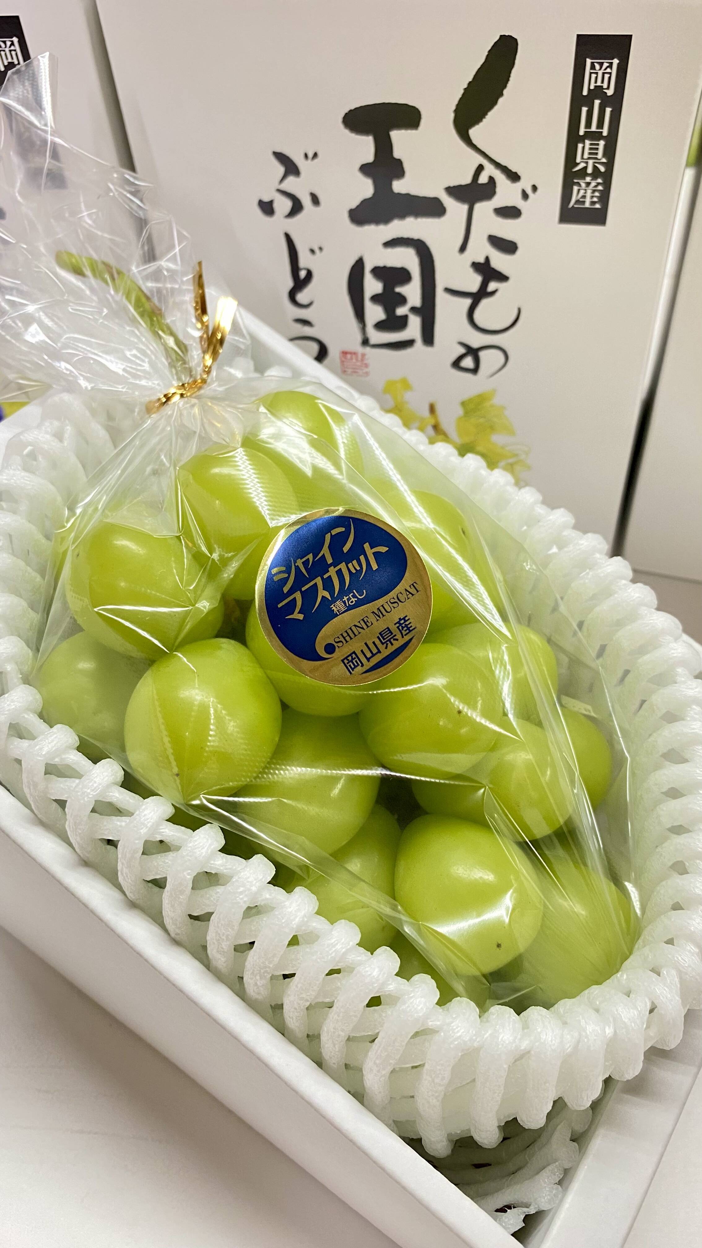 岡山県特産 シャインマスカット 5kg 2025年8月より発送】ご家庭