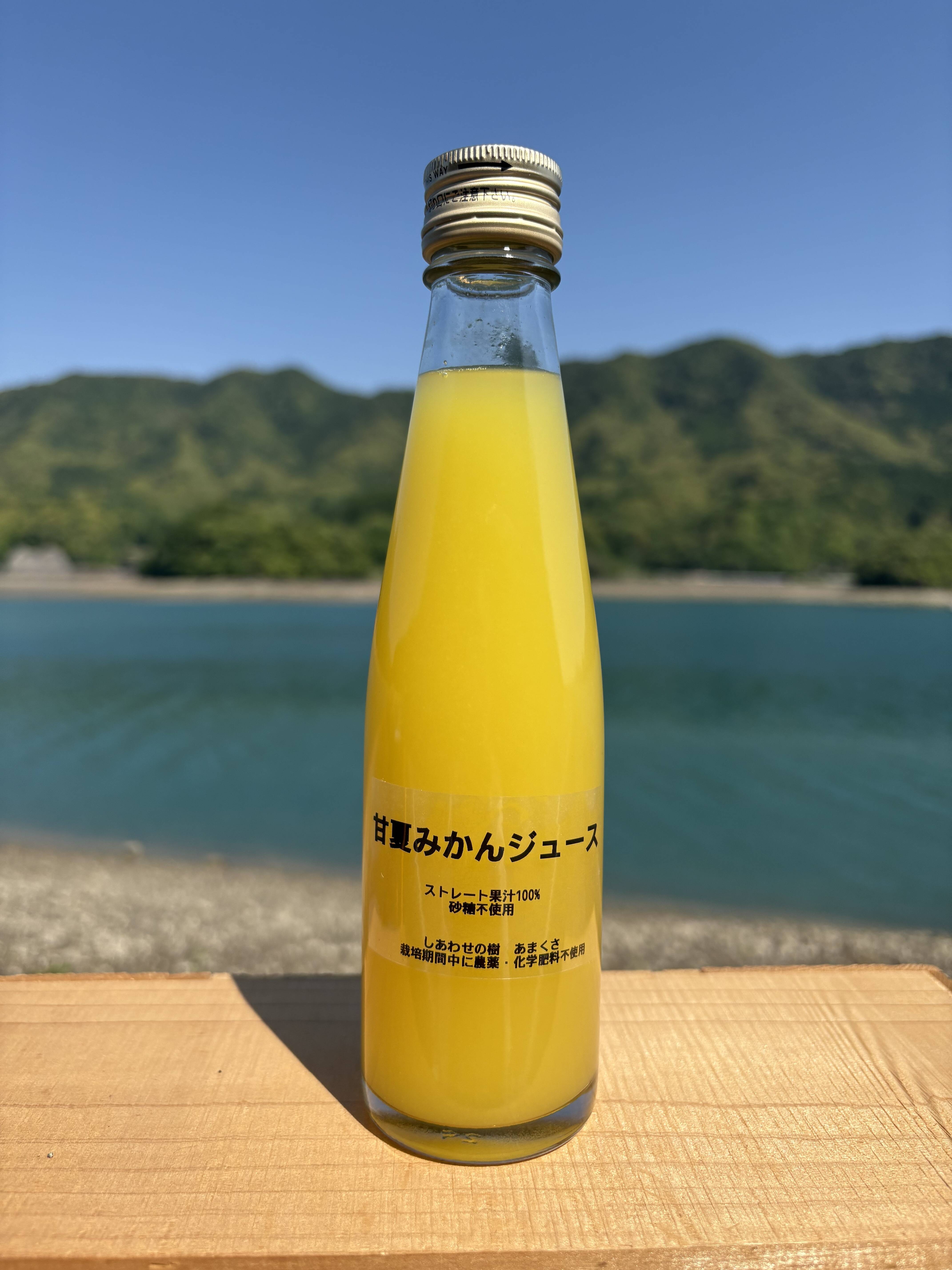生搾り果汁100%ストレートジュース（熊本特産 甘夏みかん）栽培期間中