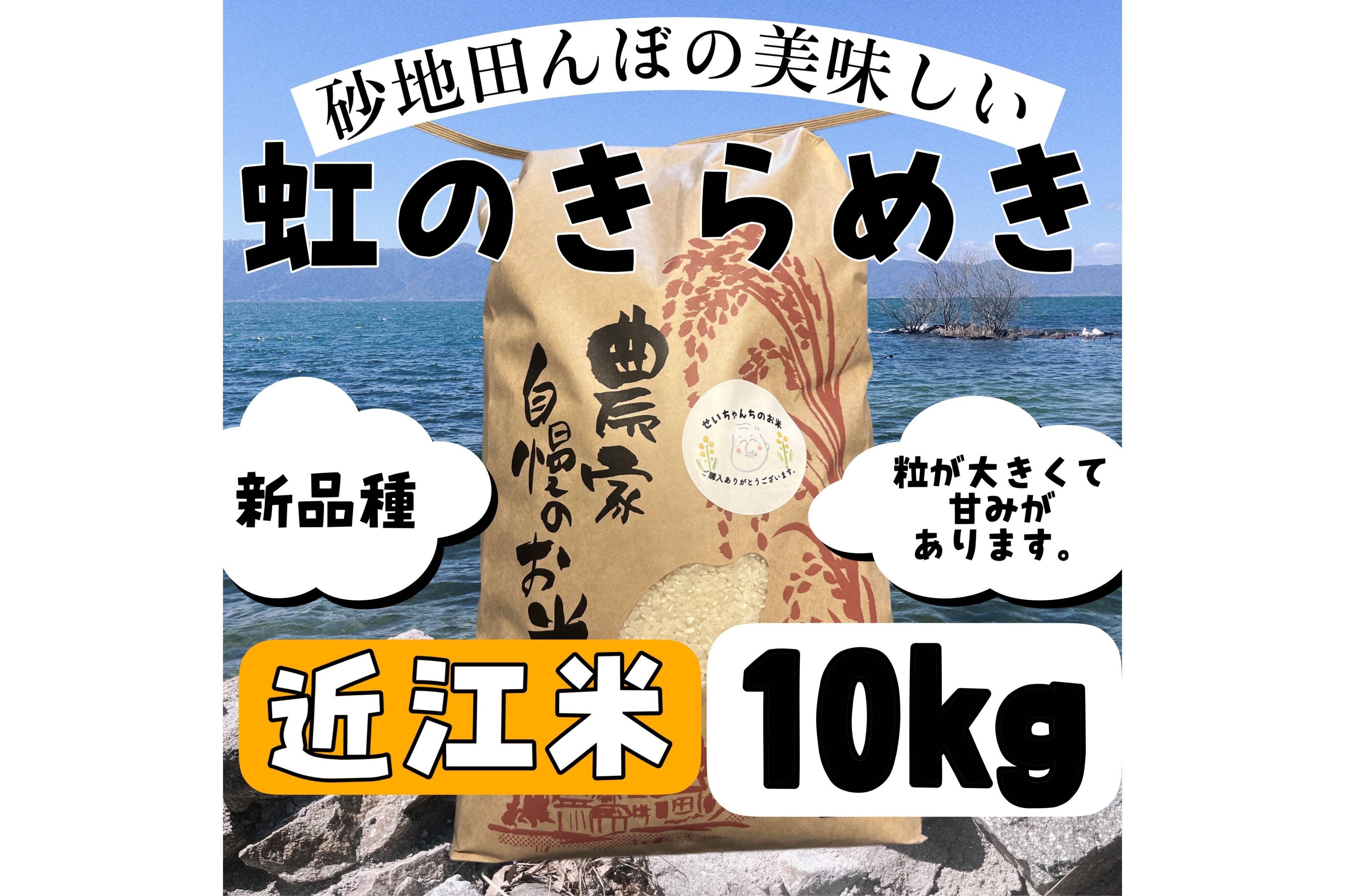 令和7年新米】【白米】 『虹のきらめき10kg』新品種！おにぎりやお弁当