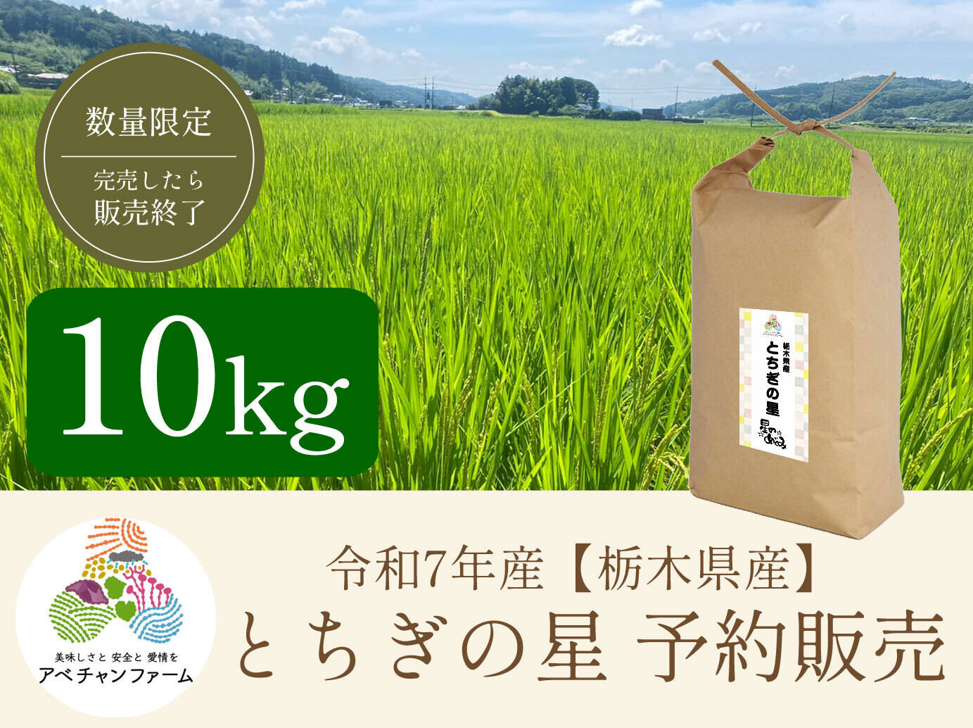 新米20キロ 令和6年10月収穫 栃木県産 とちぎの星 特別栽培 天皇陛下献上米